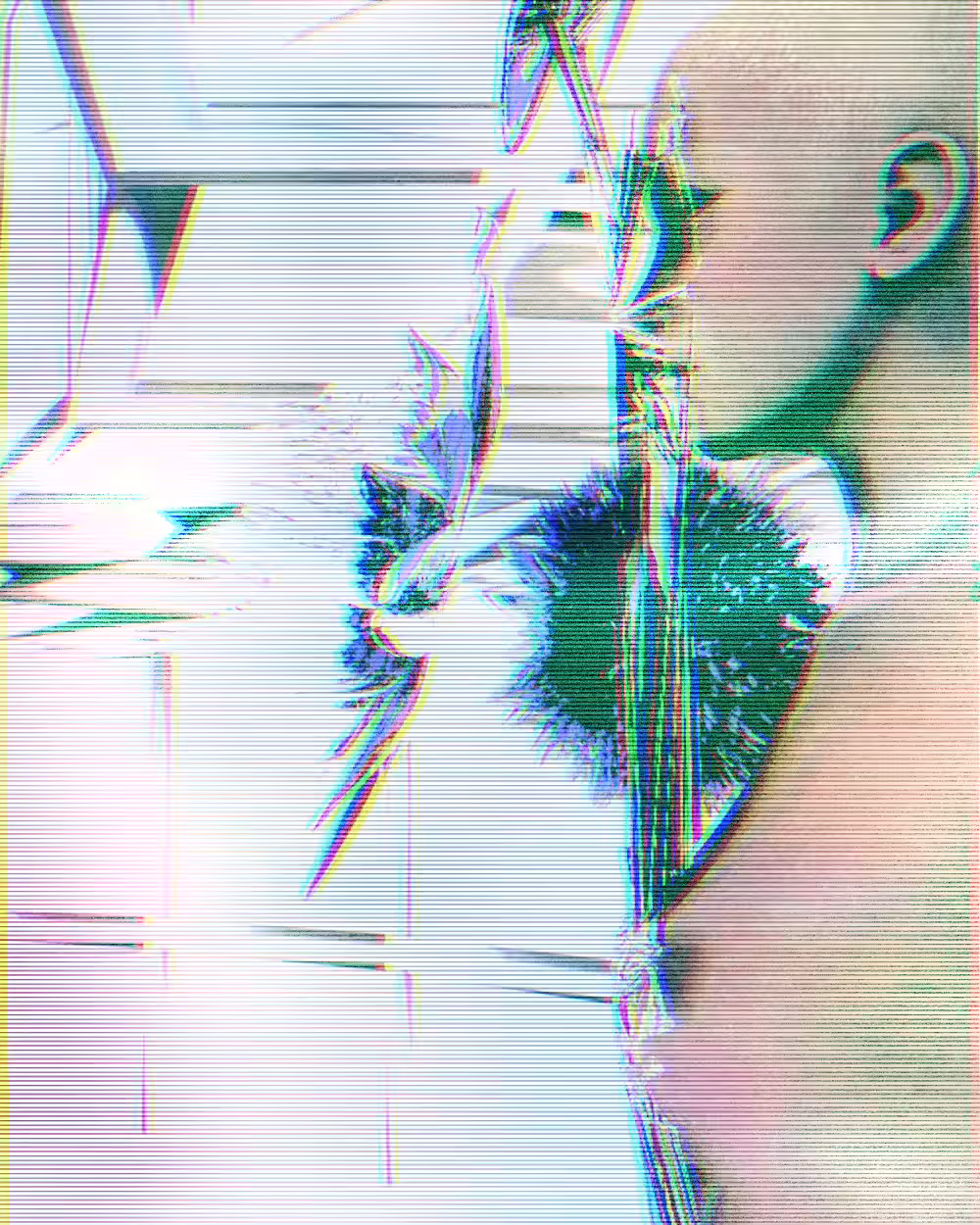 EX02 // Assimilation