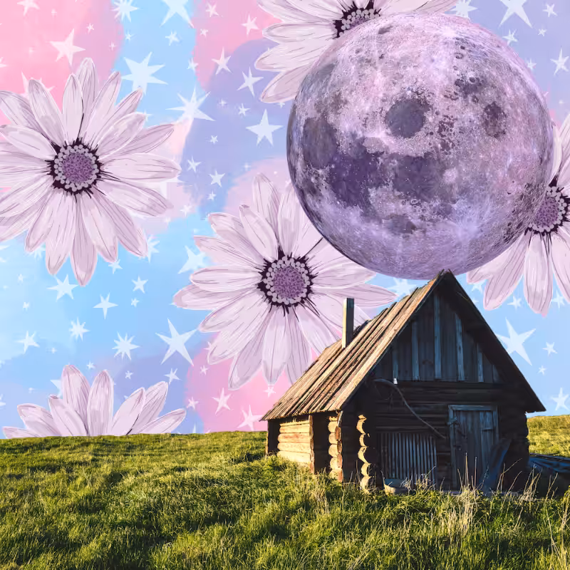 Pink Moon #56