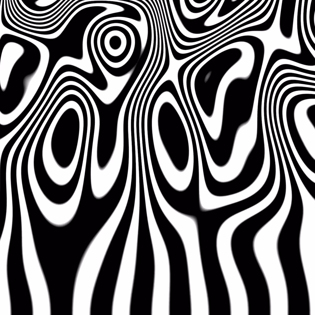 Firezebra
