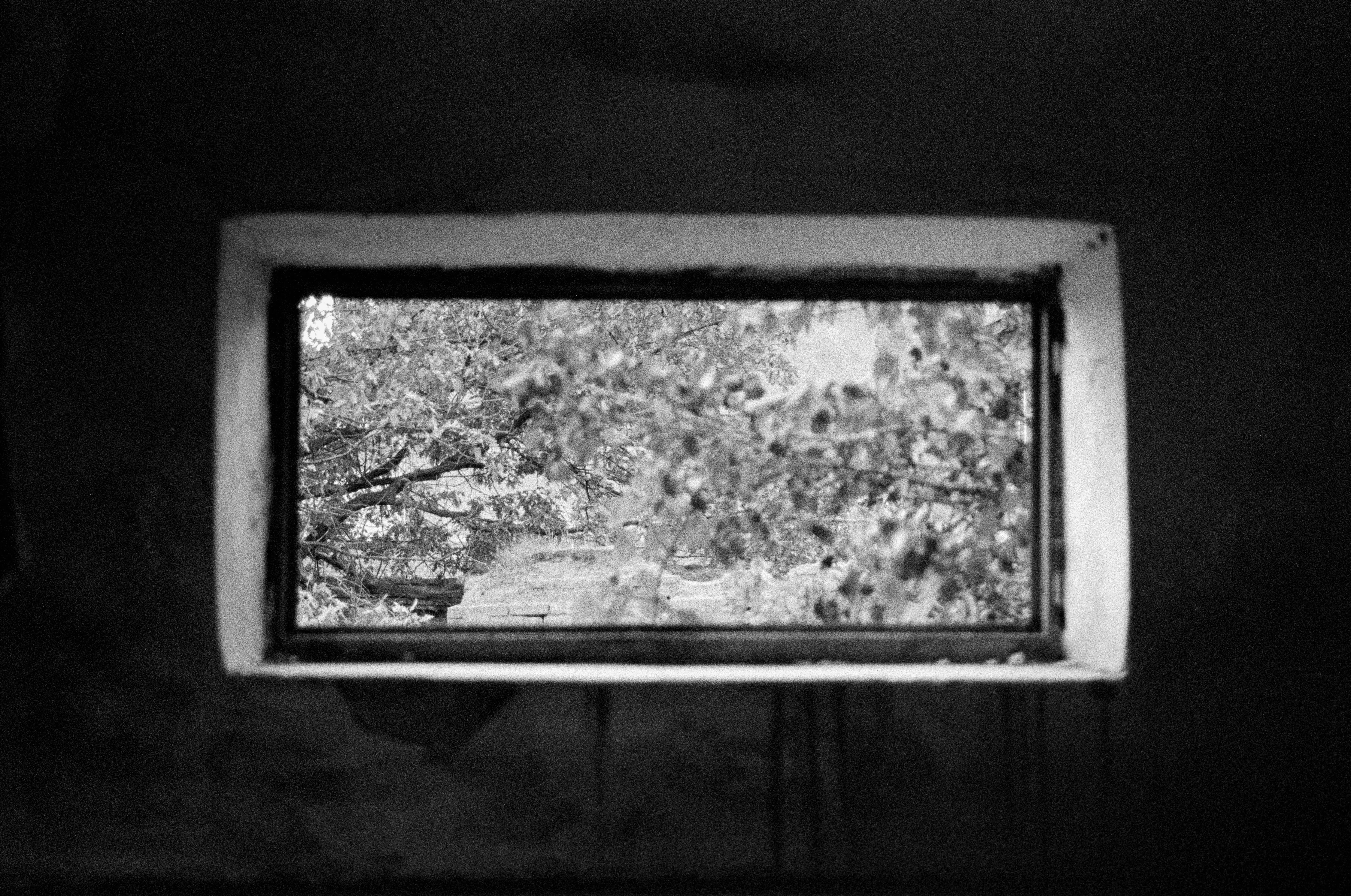 Frame of Hope