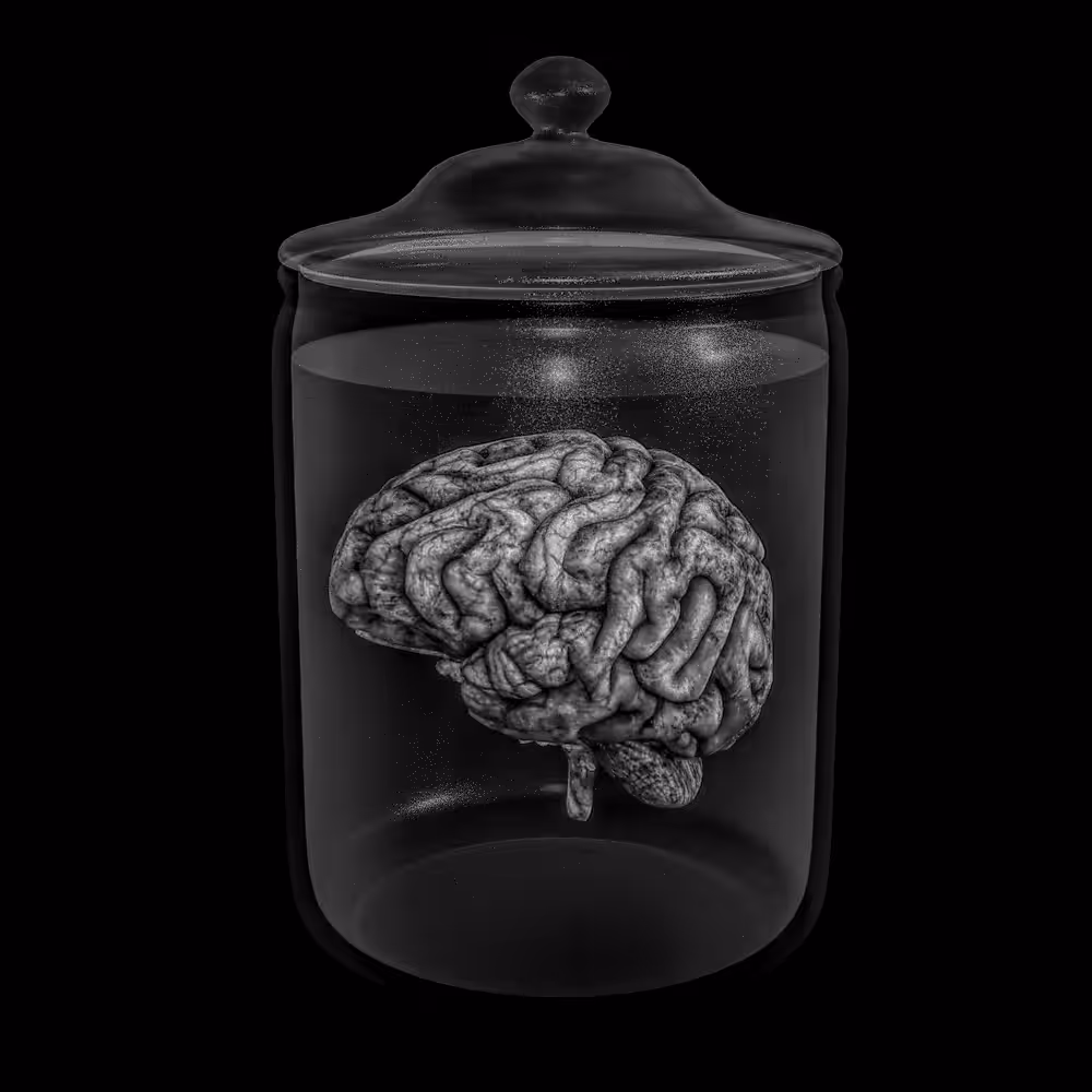 Black & White Brain