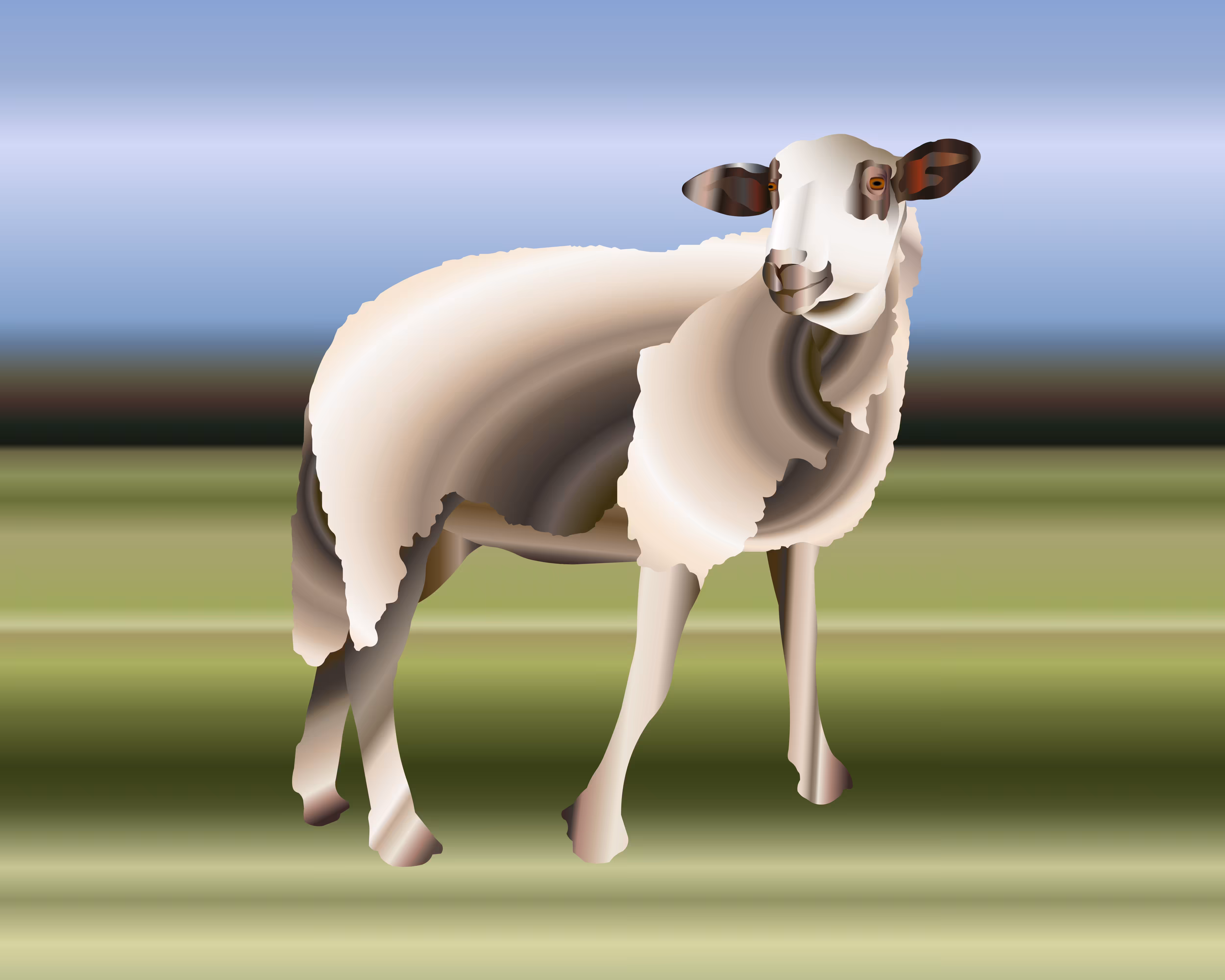 Shaun