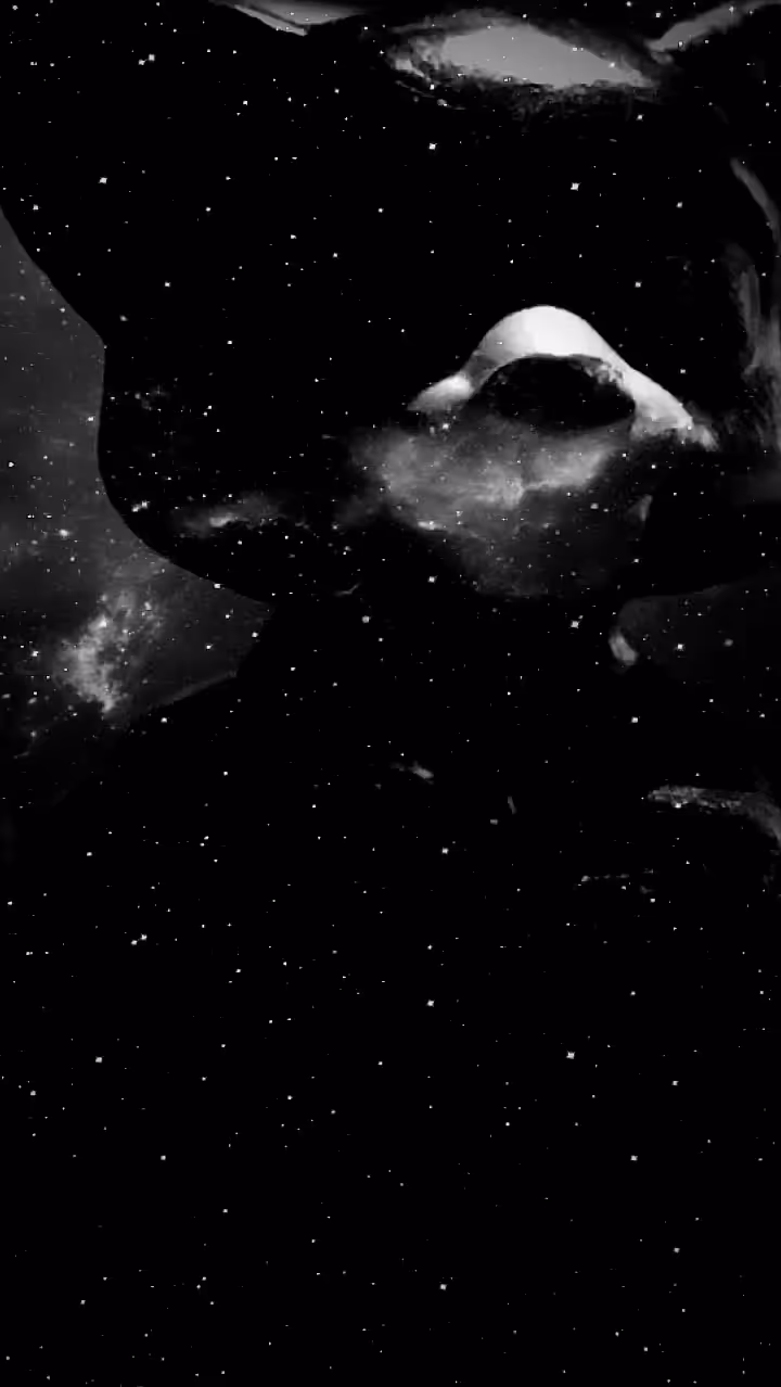 Space Cat