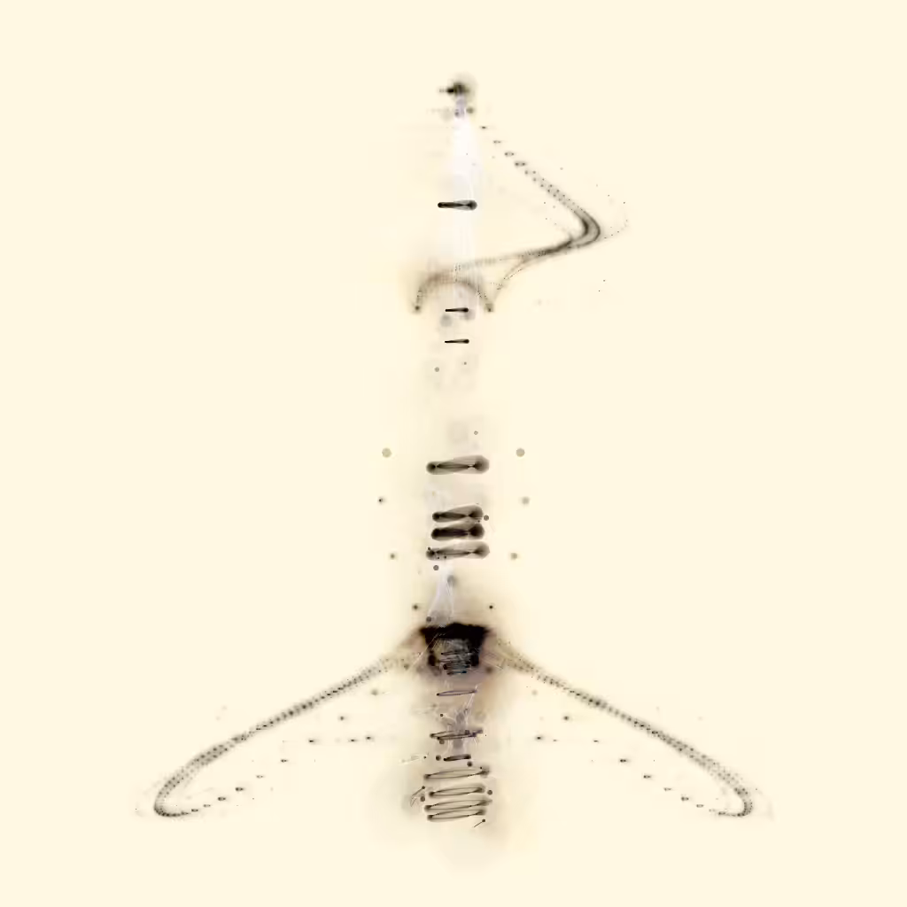 Spectral Beings: Spectral Being 348