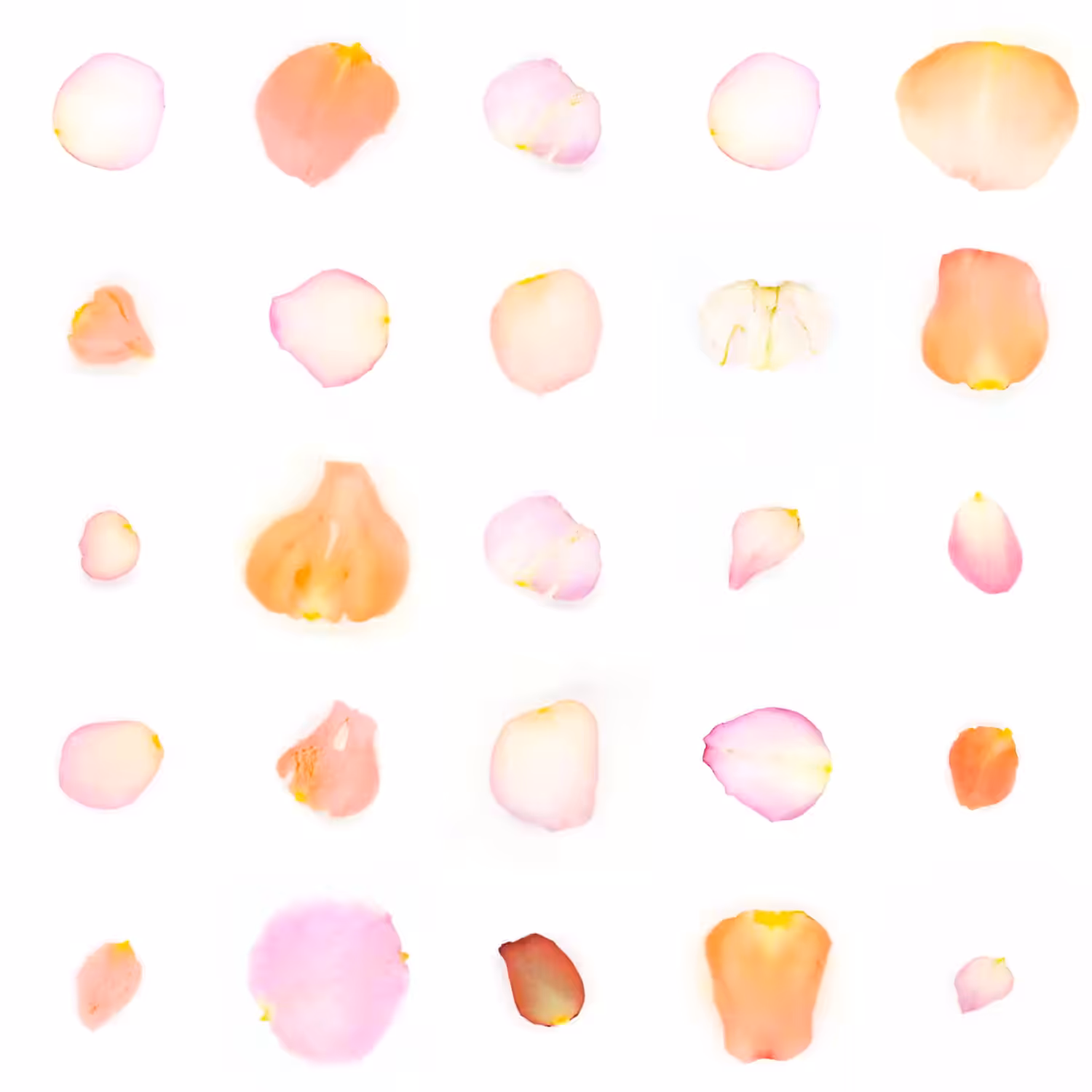 Infinite Petals 5x5#2457