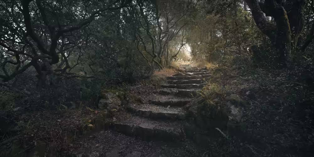 Mirkwood I - To the Hill of Sorcery