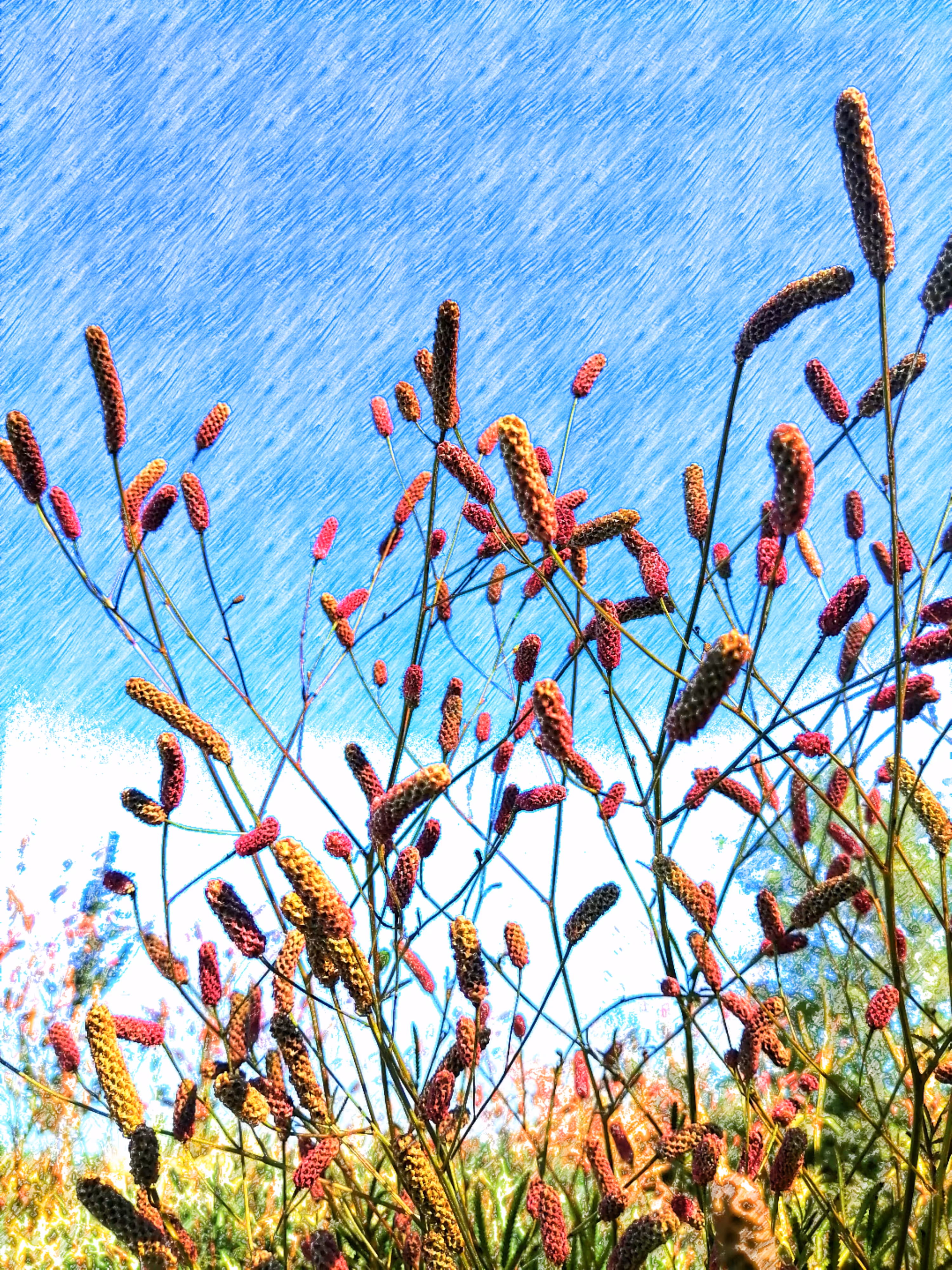 Spring