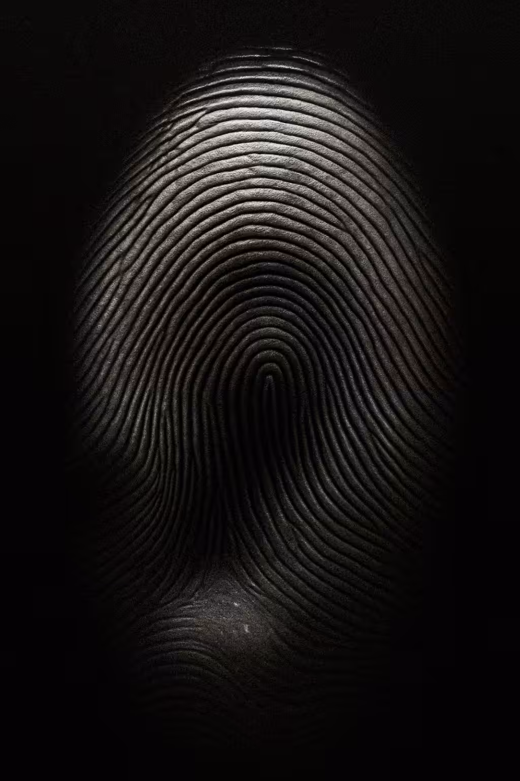 identity