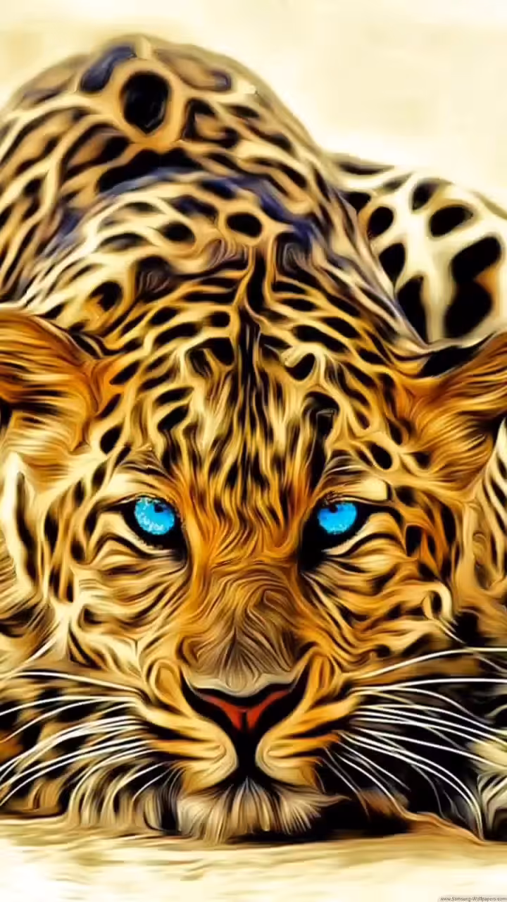 Tiger 🐯🐯🐯