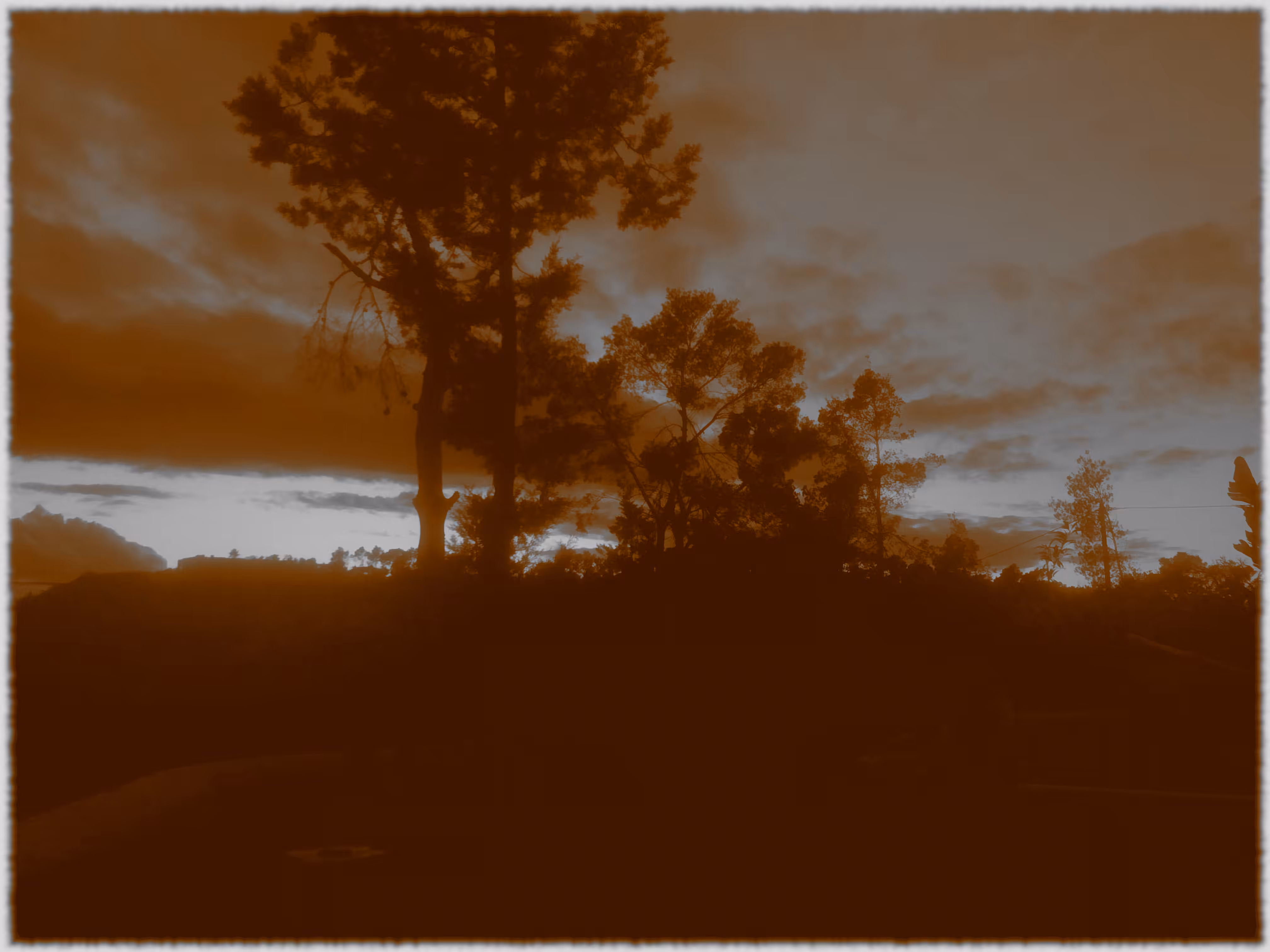 LIFE PHOTO GALLERY: NO. 1