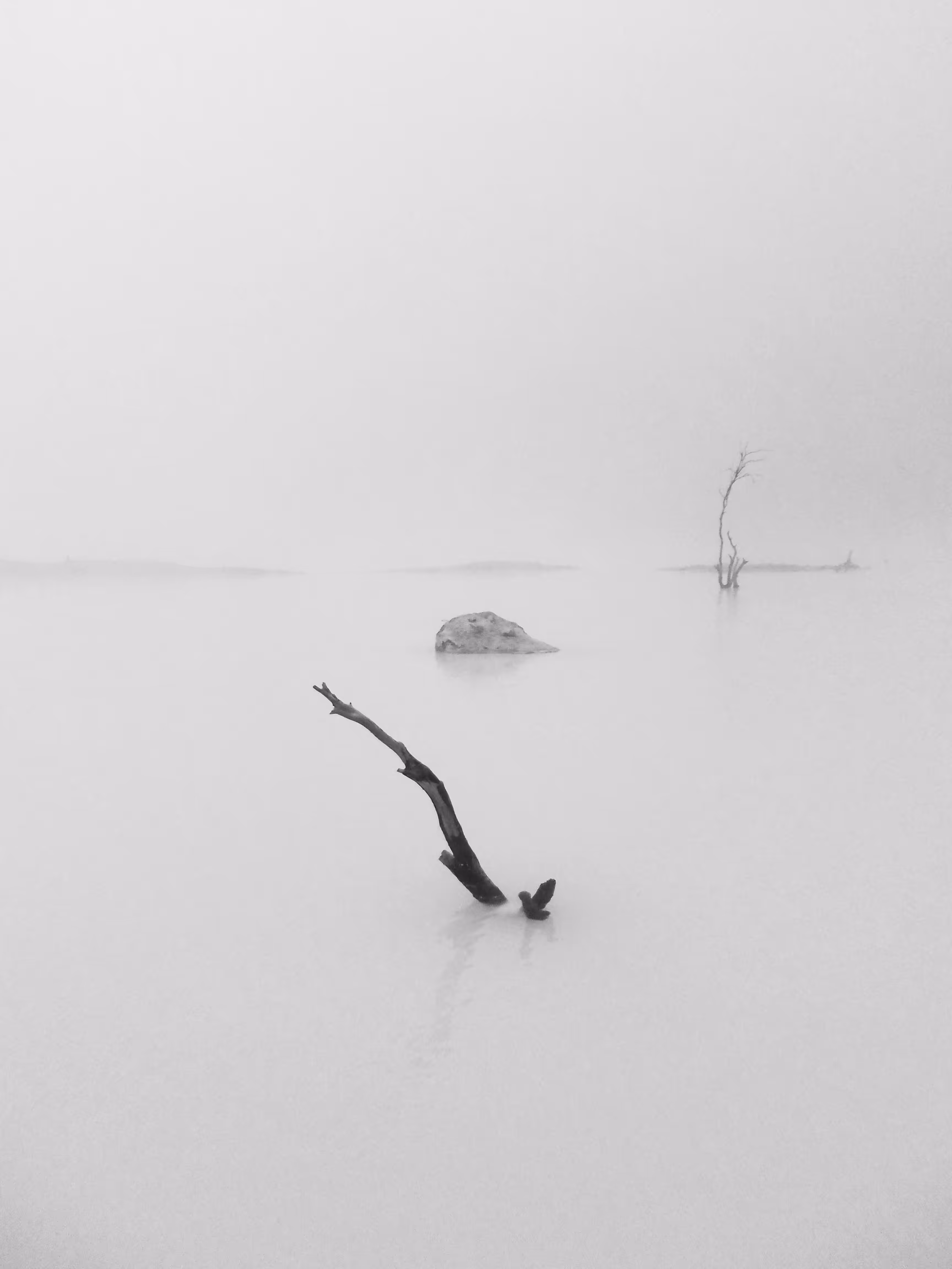 Solitude