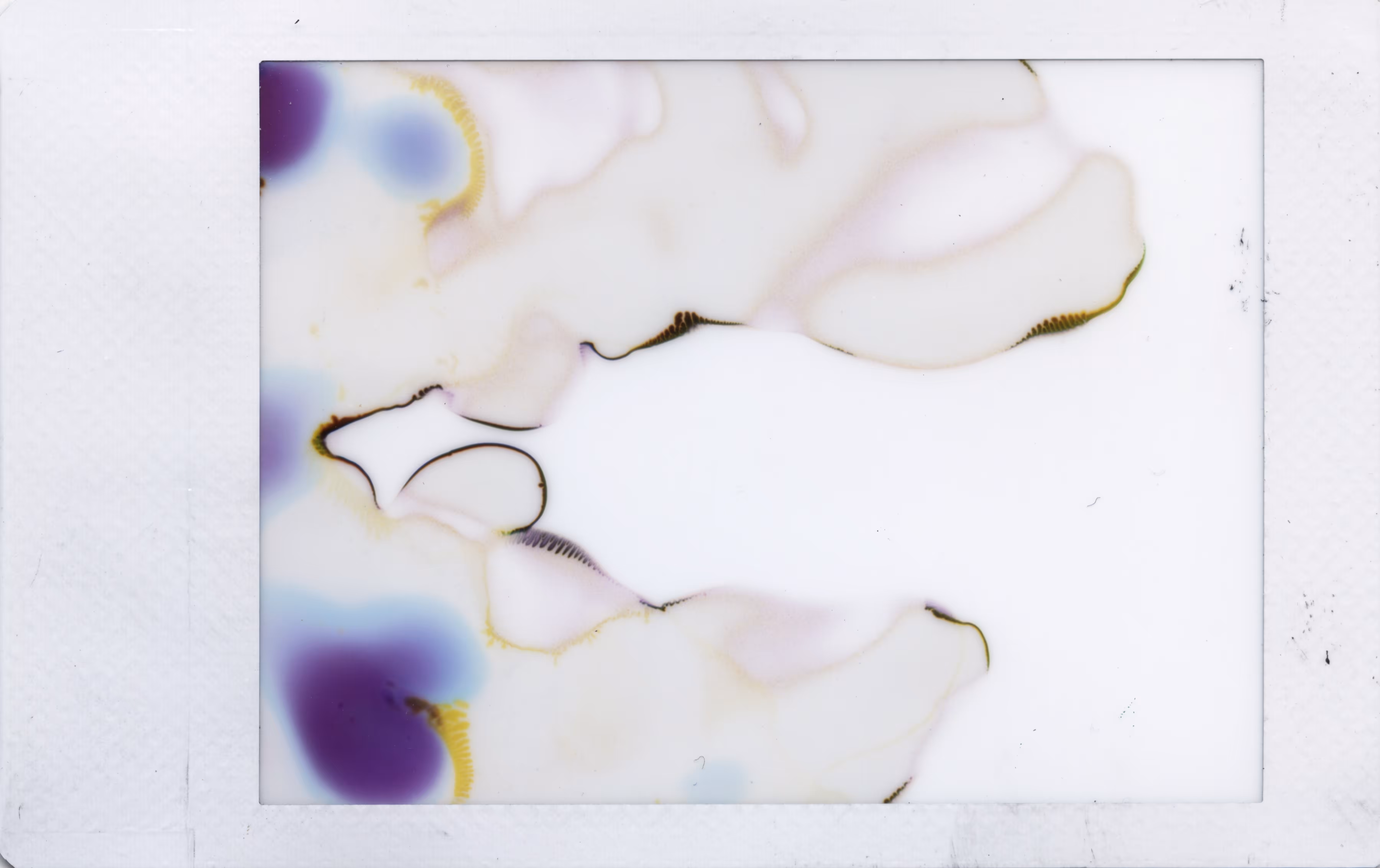 Polaroids #03