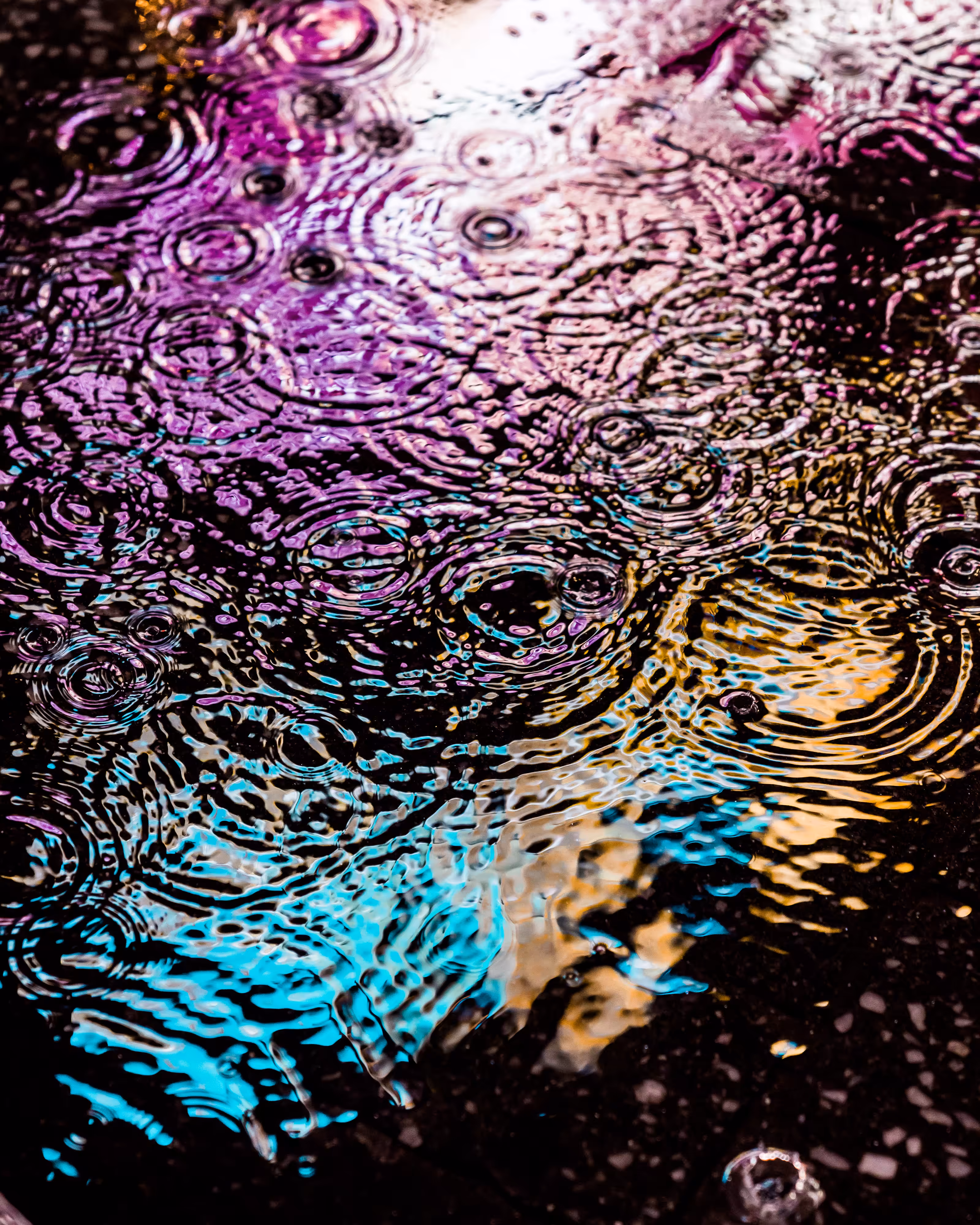 DRIP DROP: DRIP #54