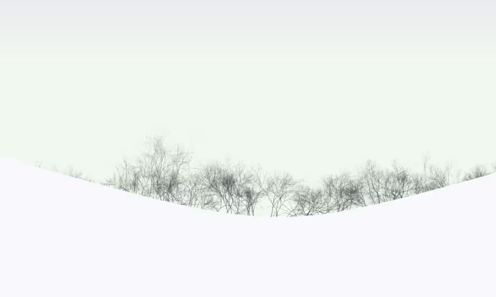 Behind the hills #24