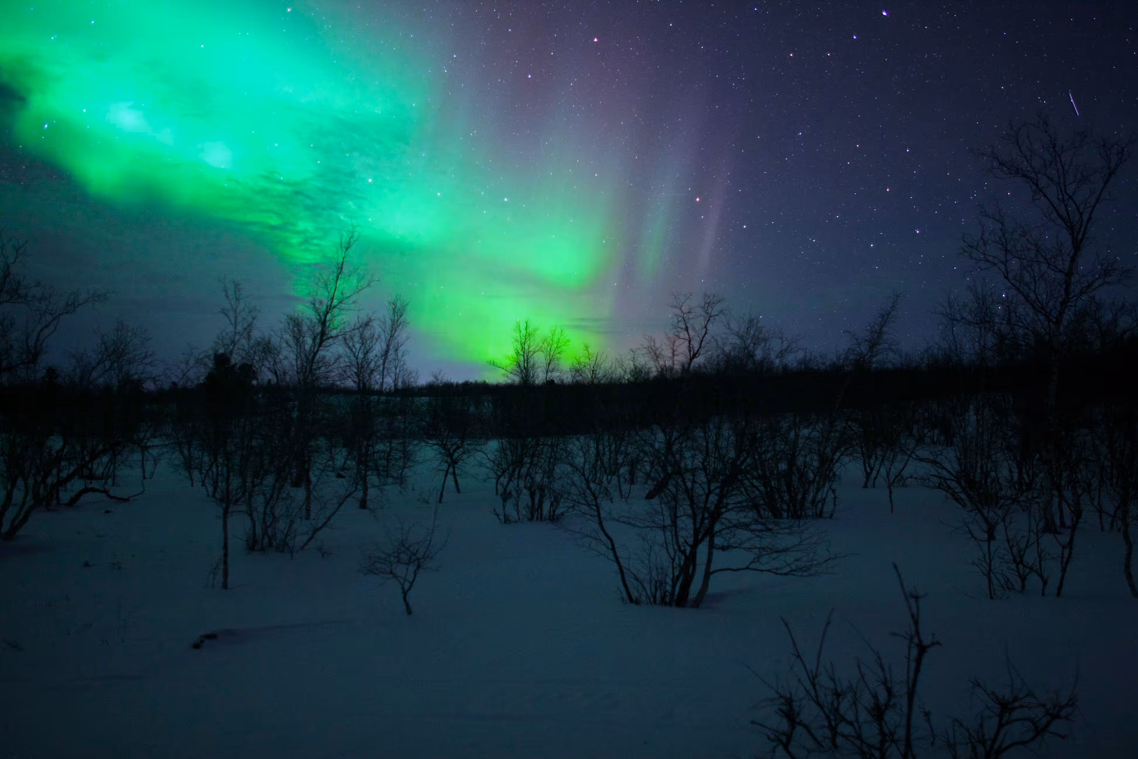 Abisko 3