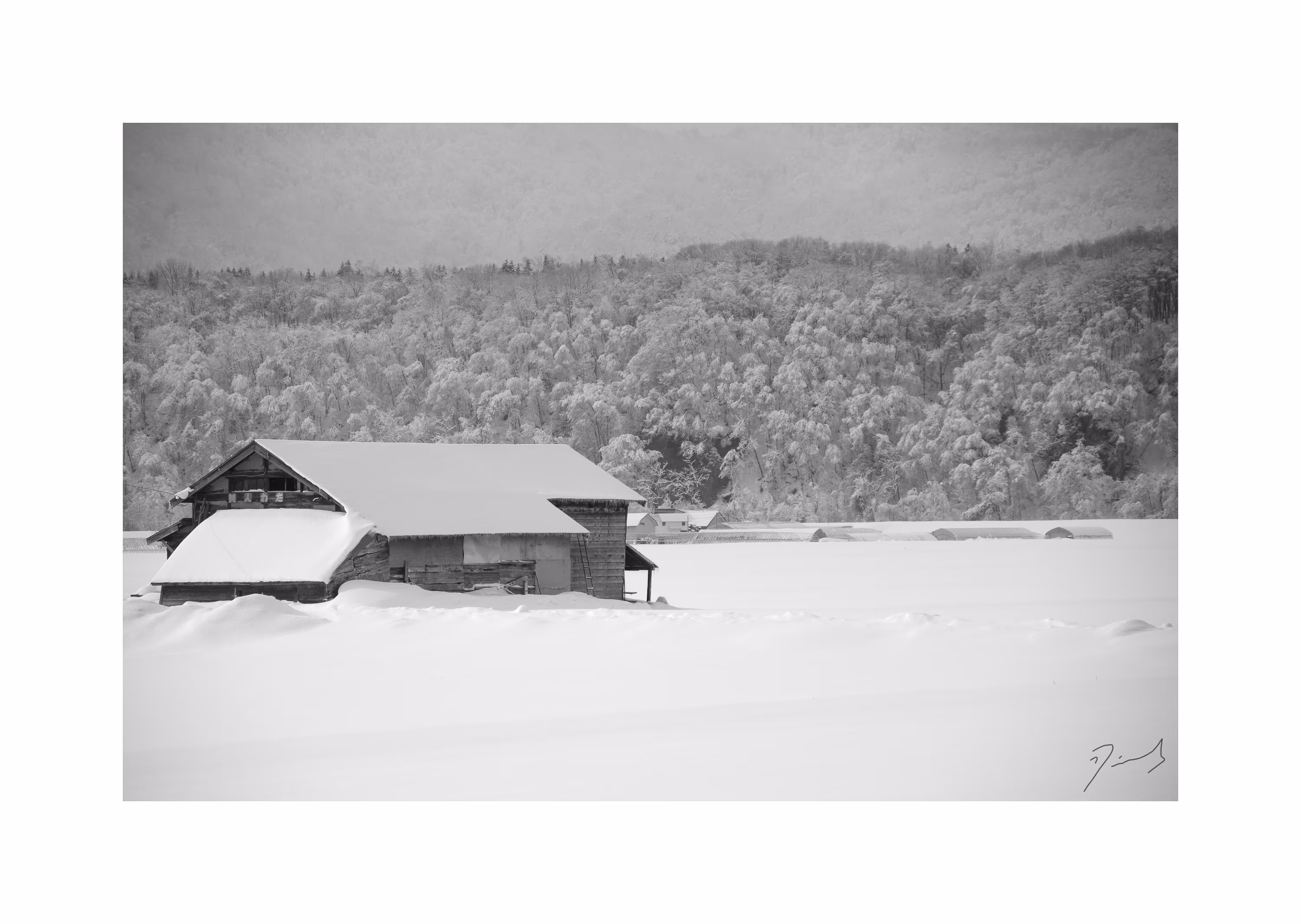 Surrounded by snow