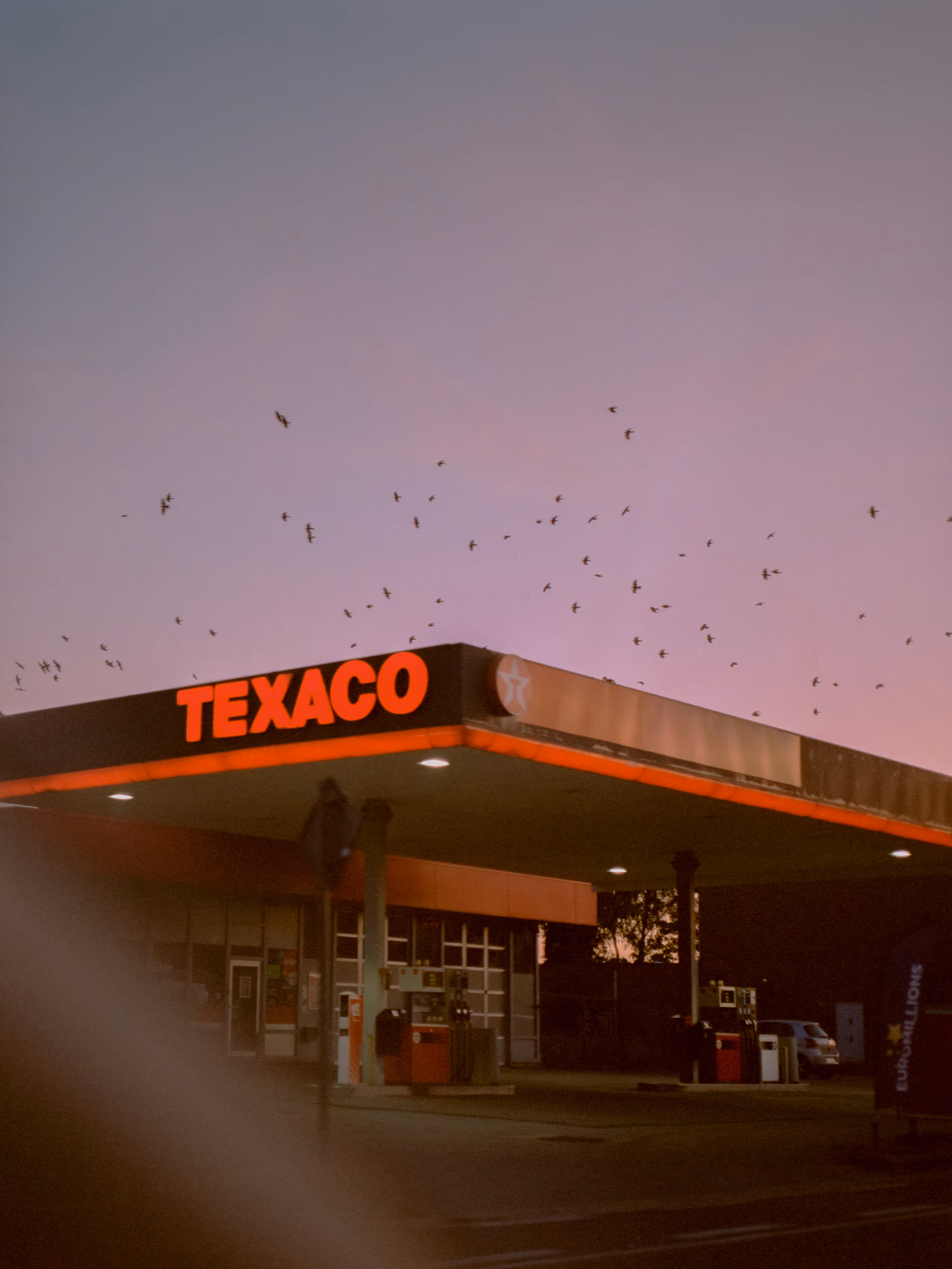 Texaco birds