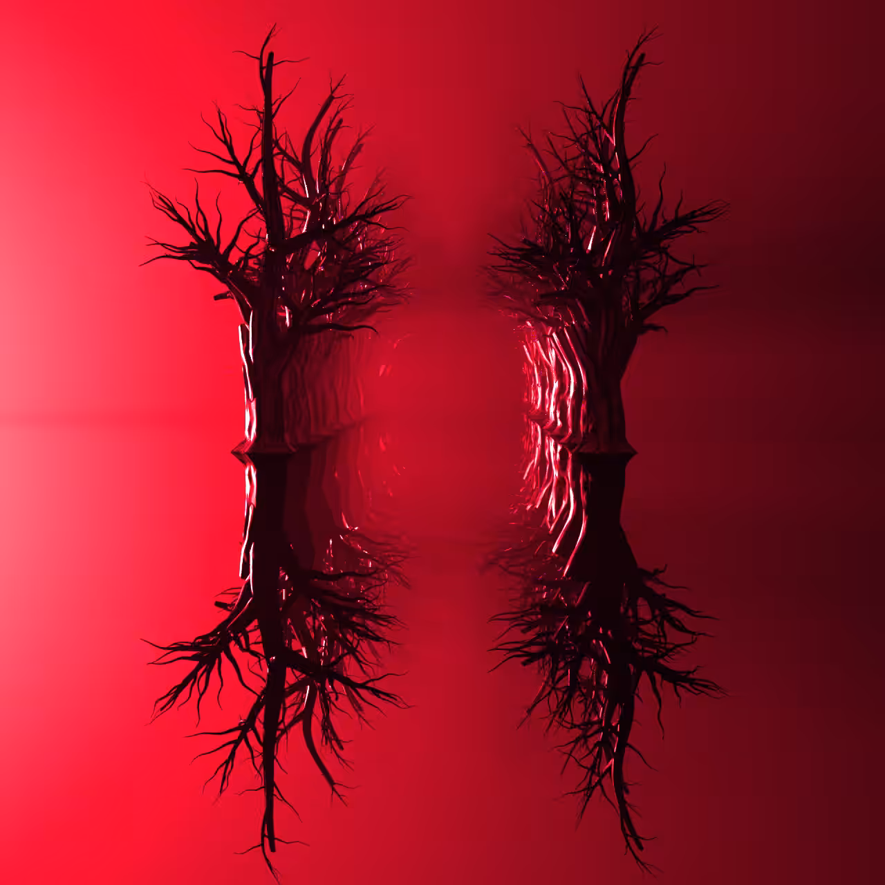 Projection#01