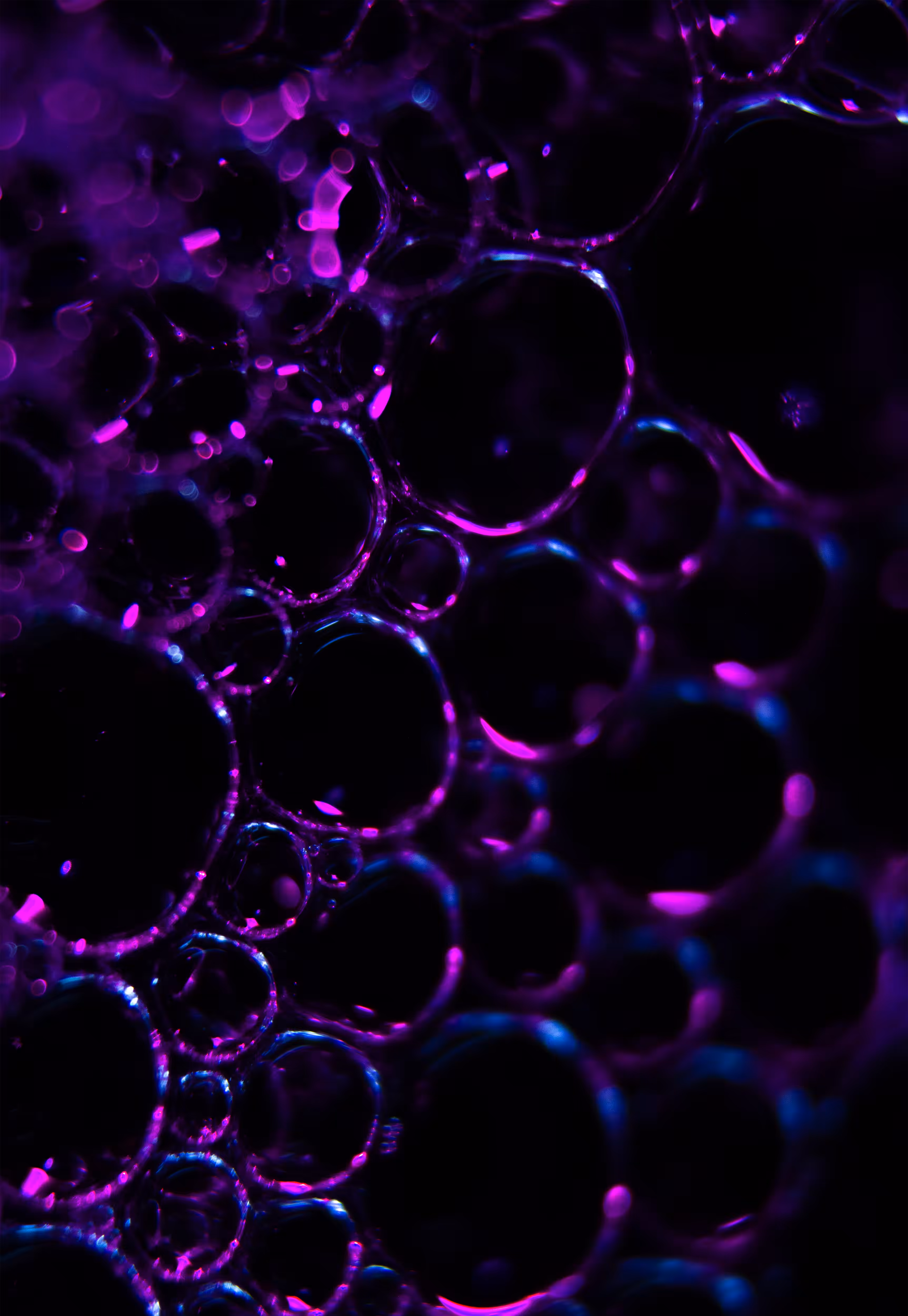 #159 Bubbles