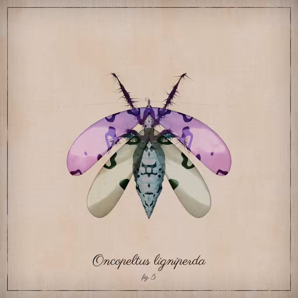 ProcGen Entomology #417