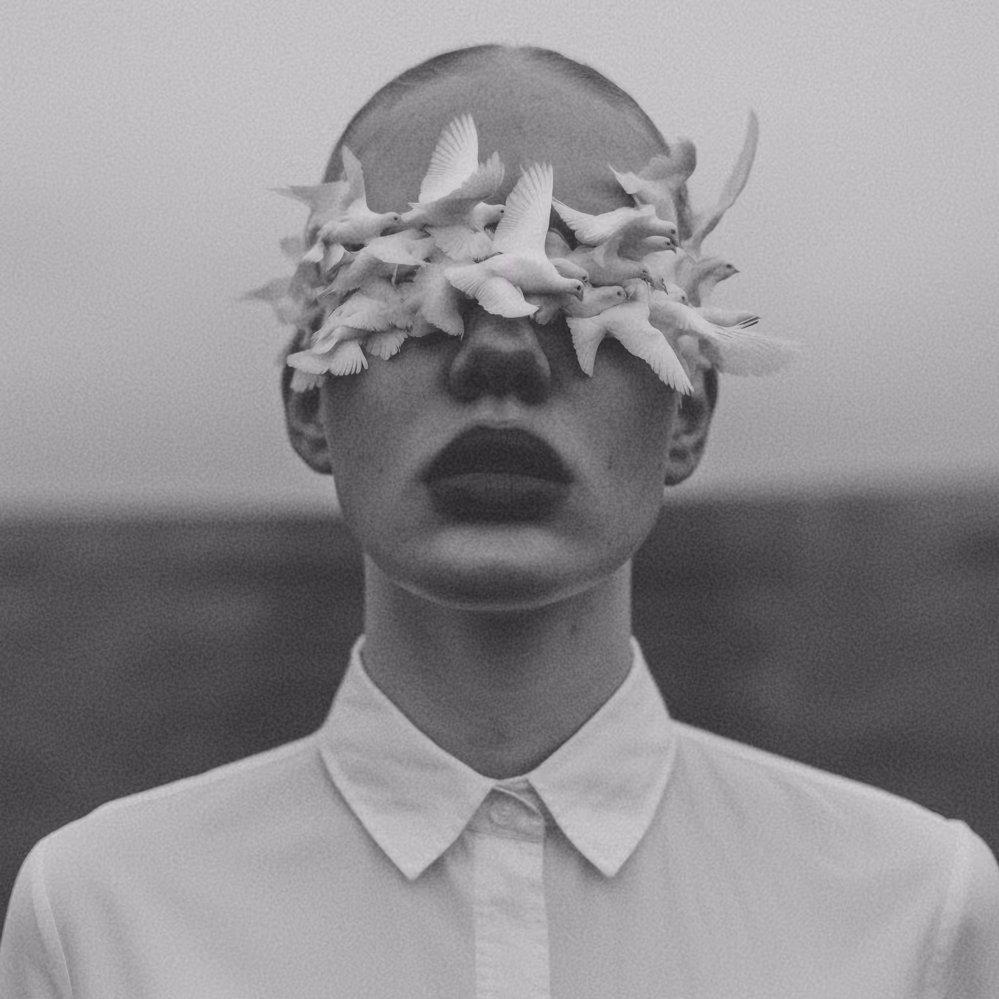 Blinded Freedom
