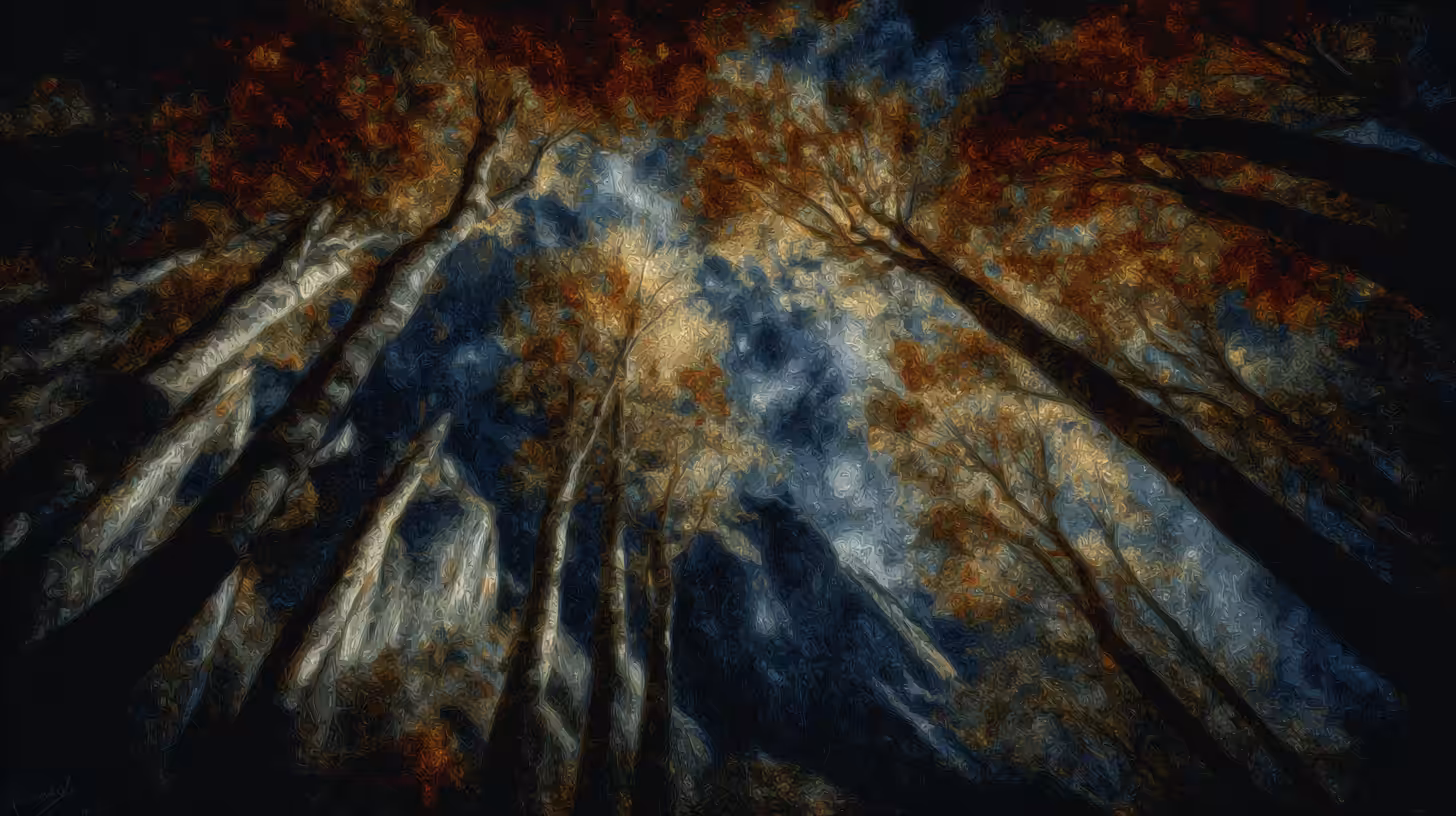The Soul's Dark Atlas: The Silent Cathedral