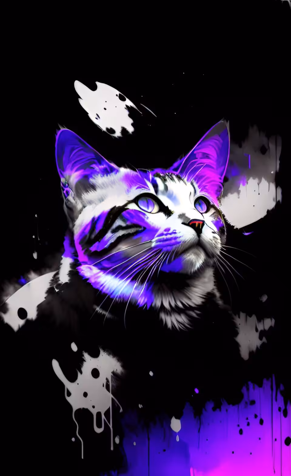 Another Internet Cat 
