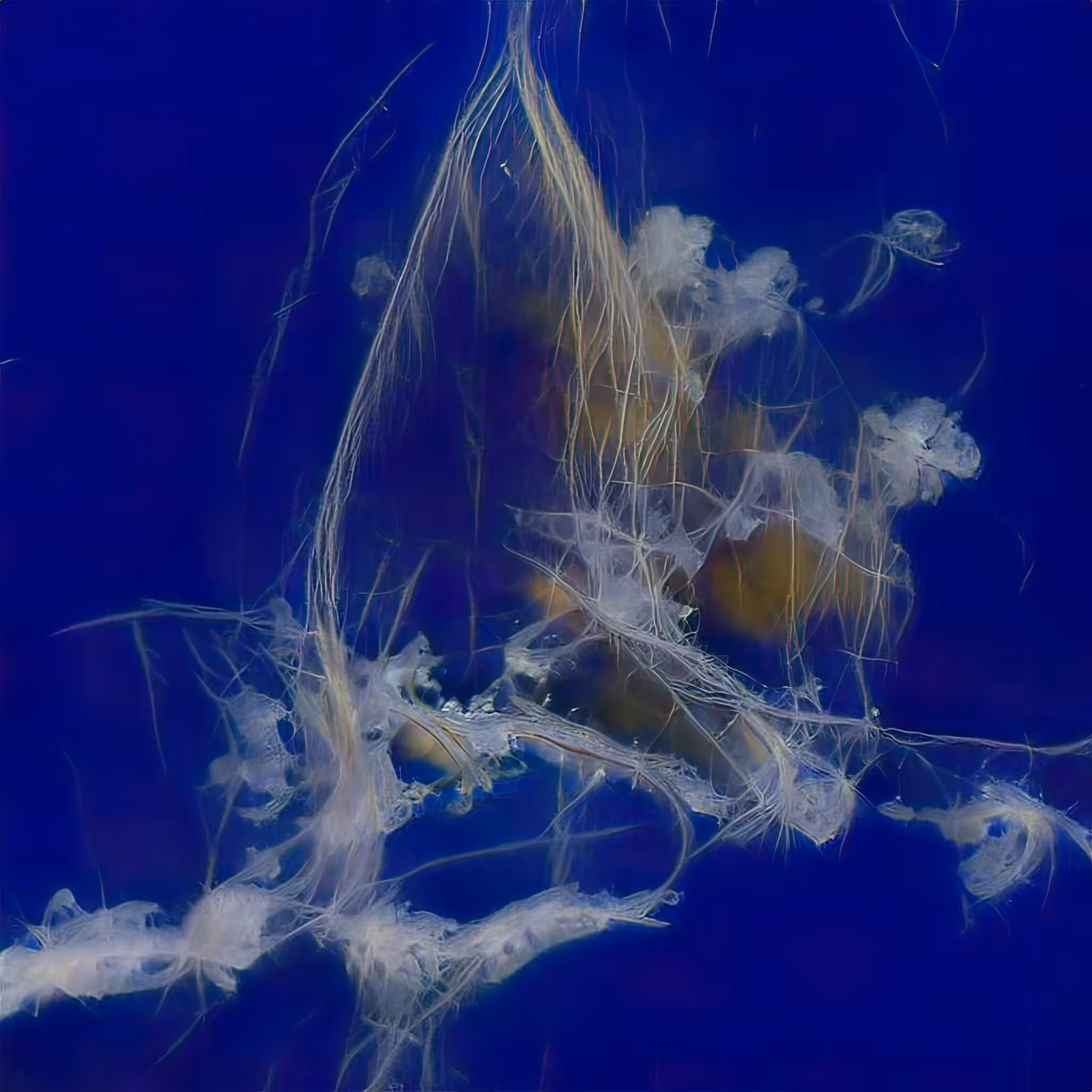 Emergent Finale 00406
