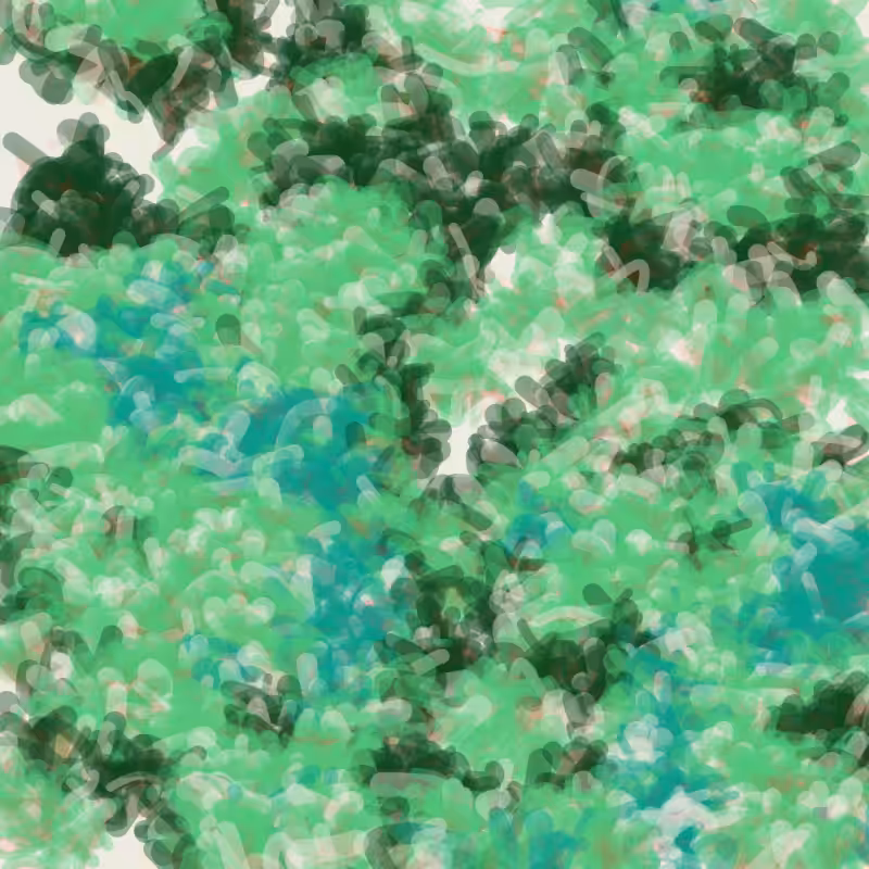 Petri 1500 #1133