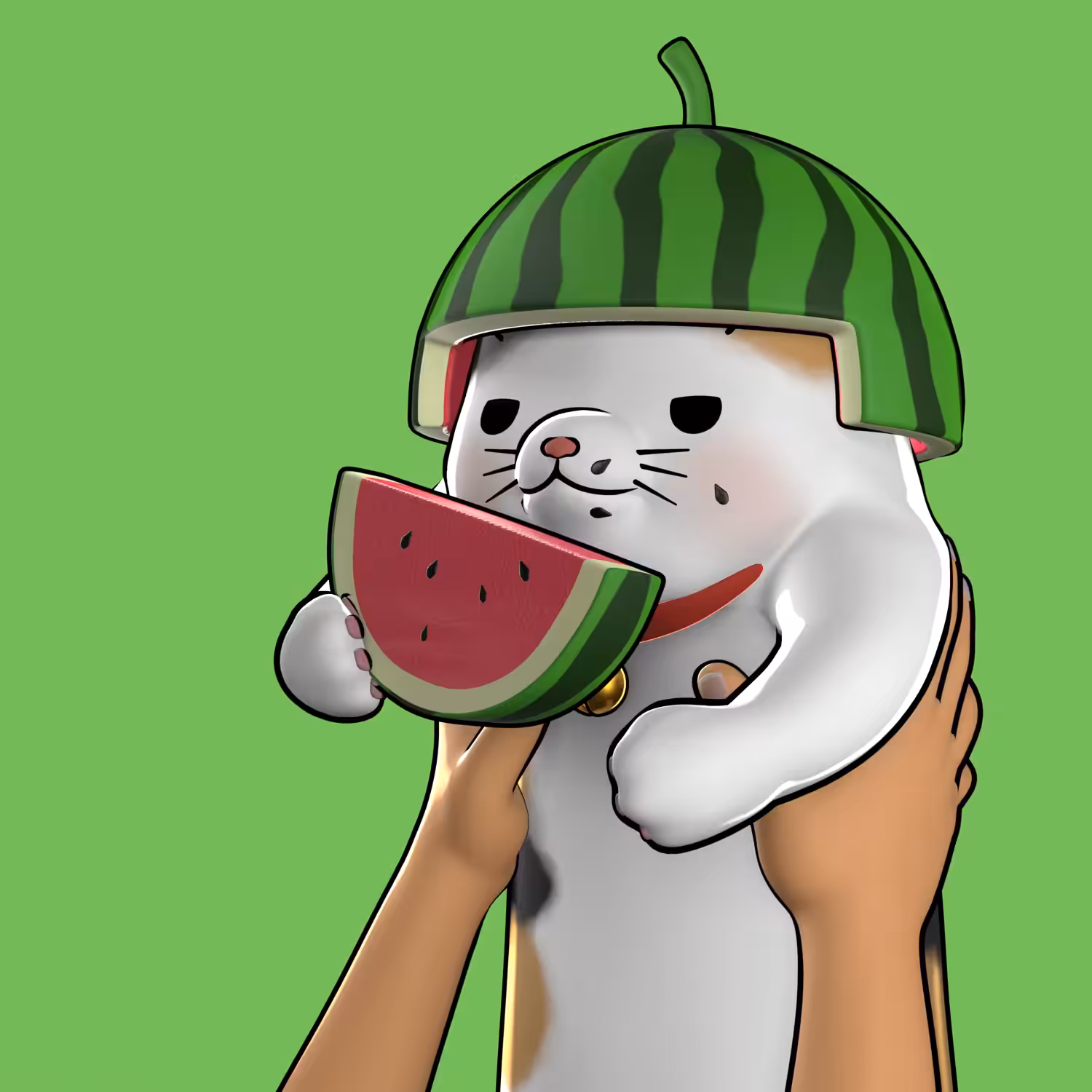 #032 Watermelon
