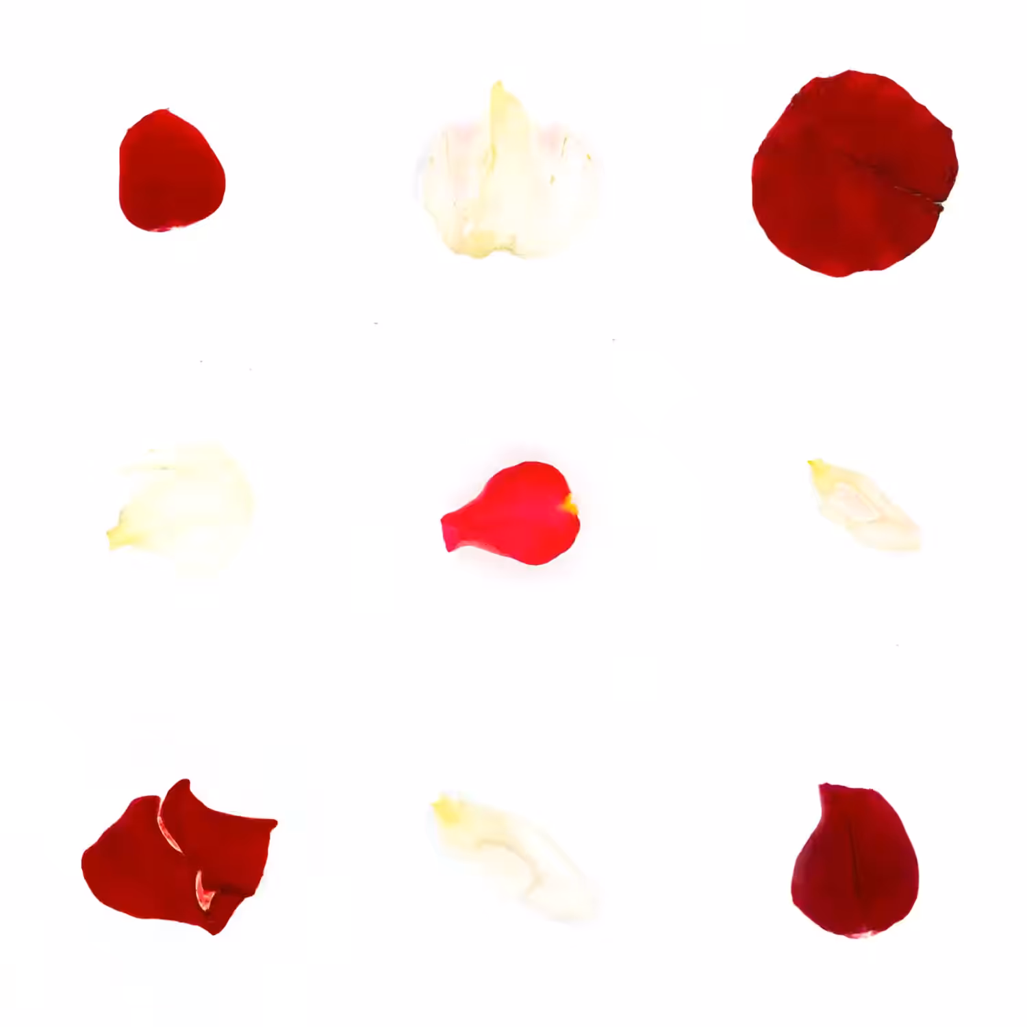 Infinite Petals 3x3#3275