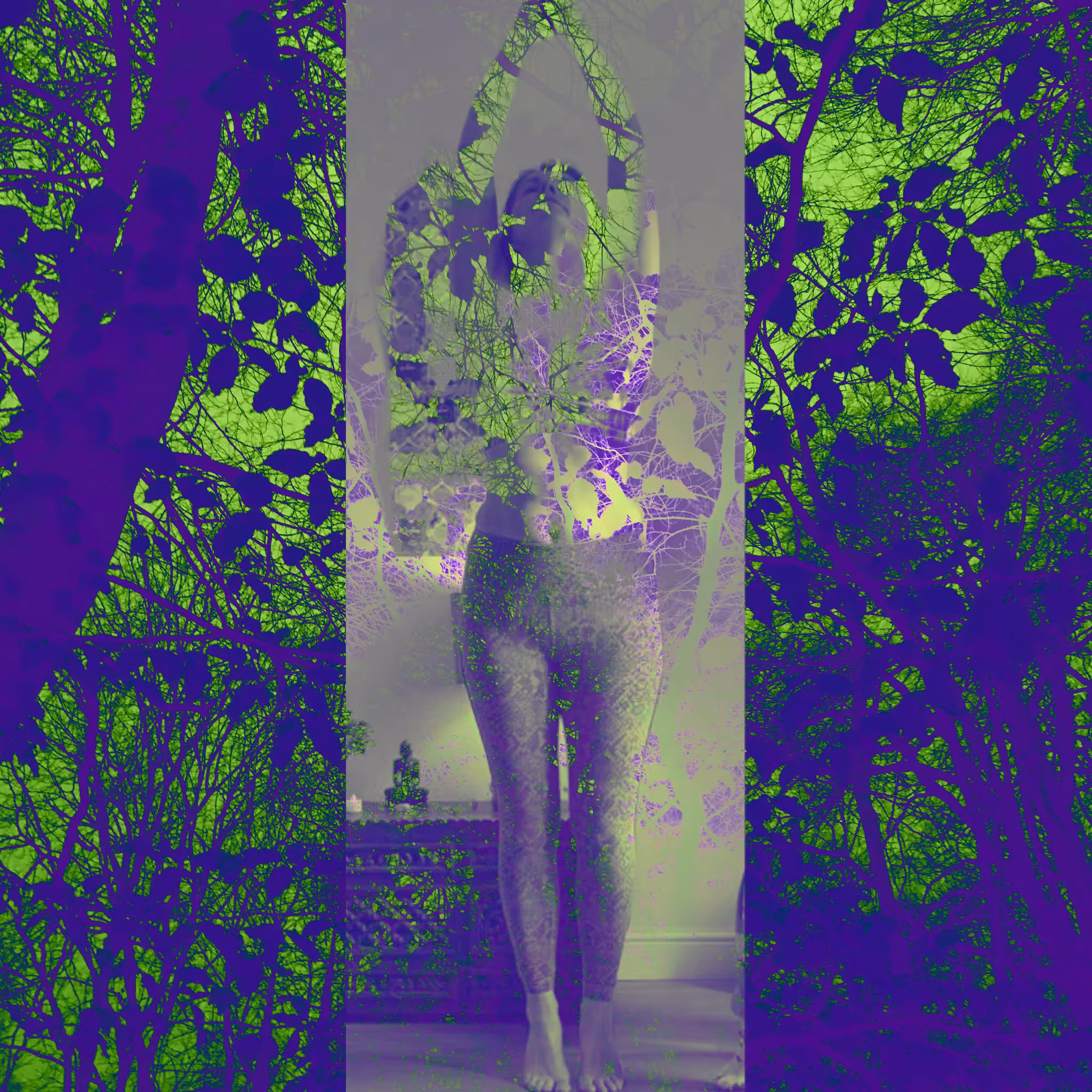 Dark Forest #13