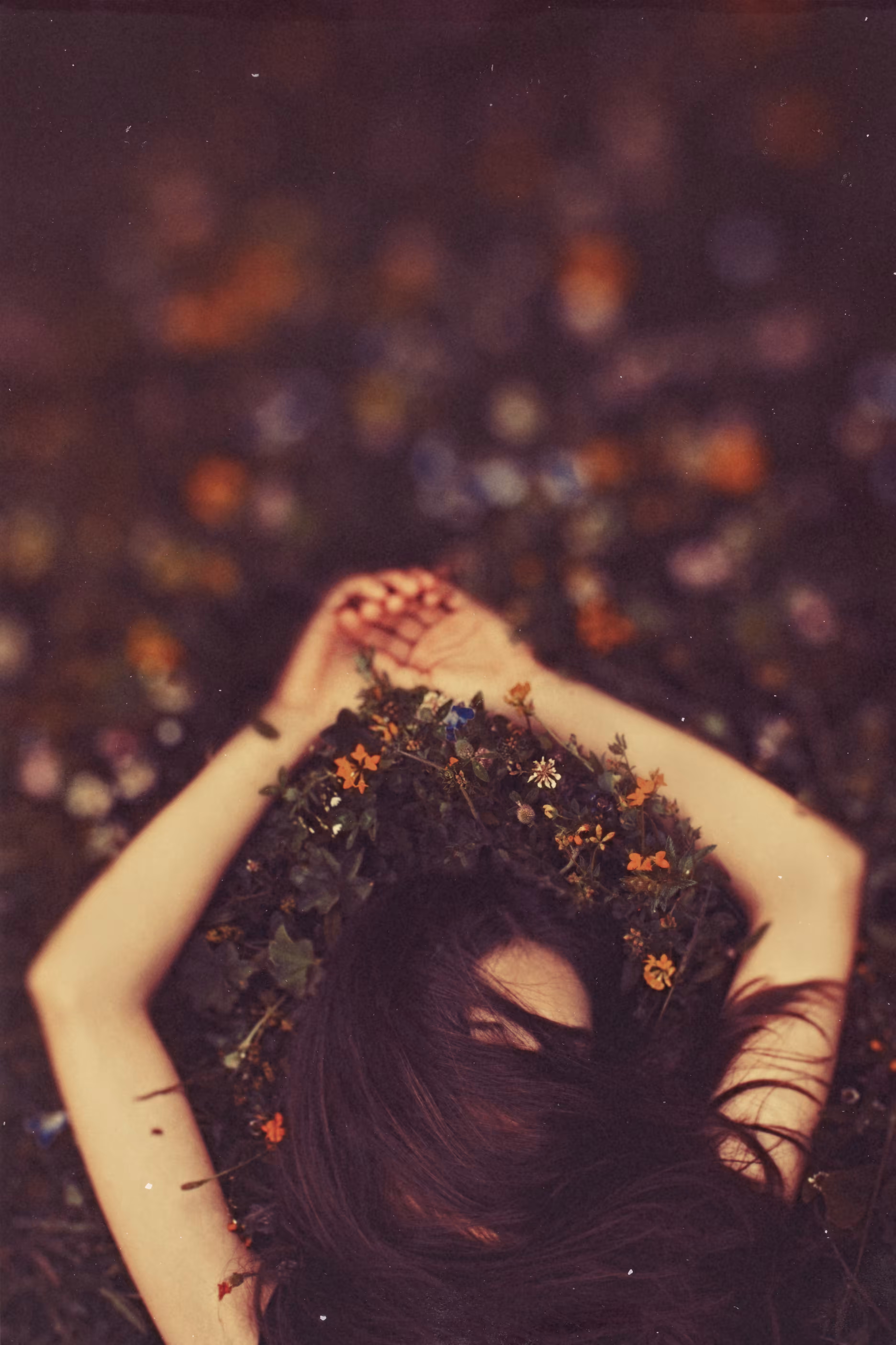 Summer Dreaming