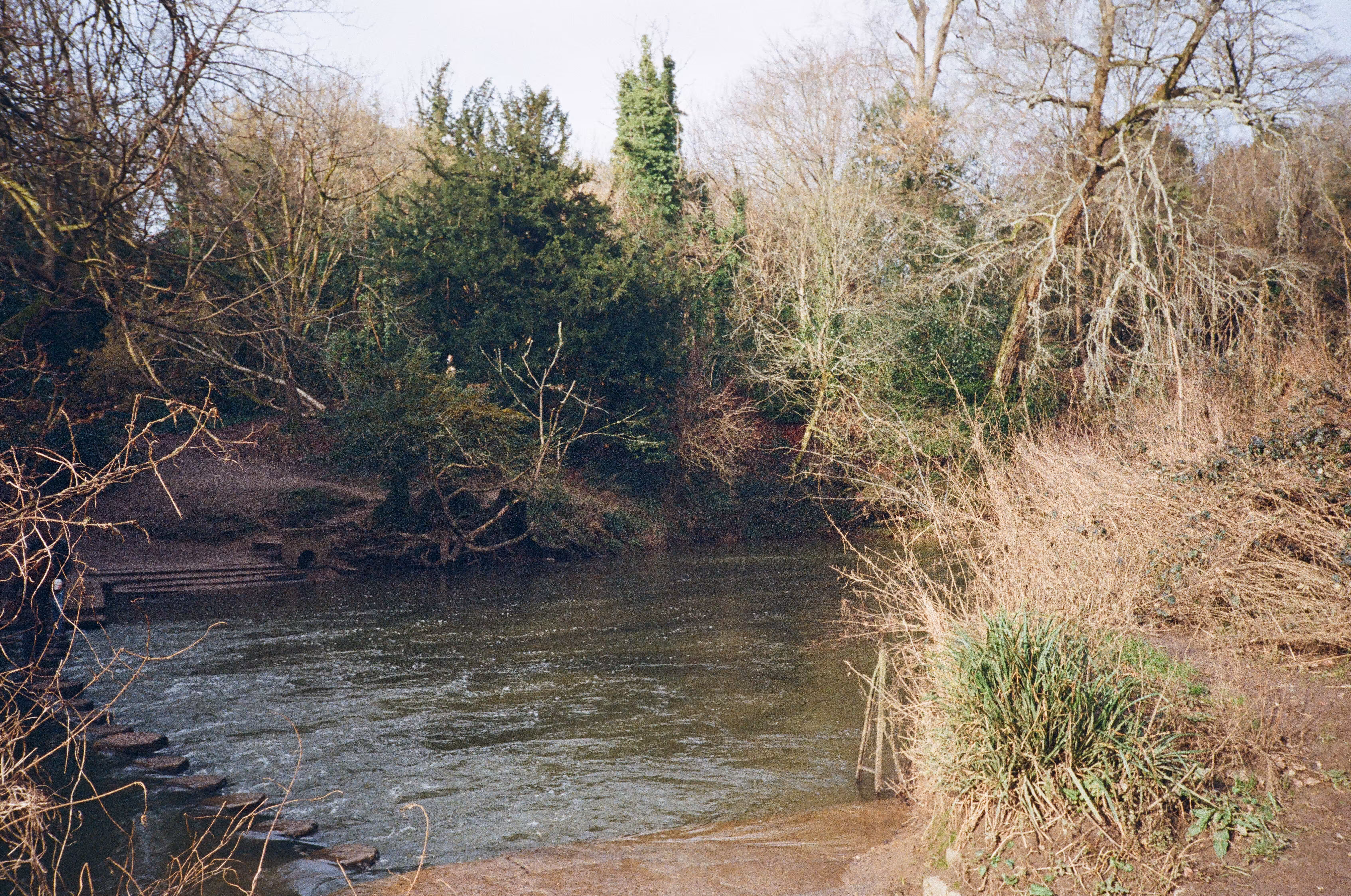 Rodeo posts: Boxhill on film