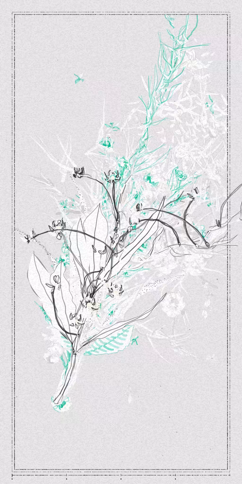 Polypaths | 植徑集 #725