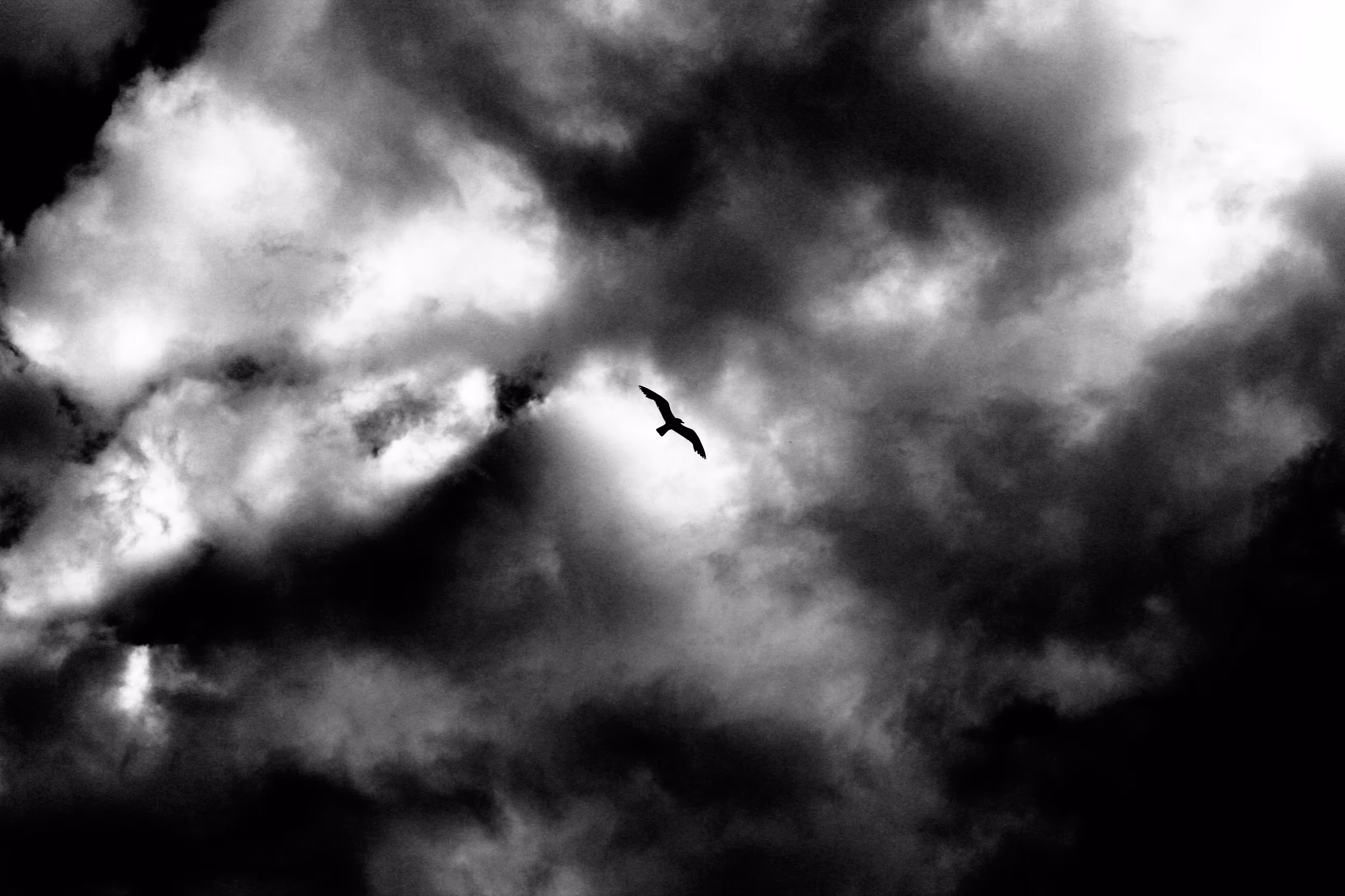 To the storm