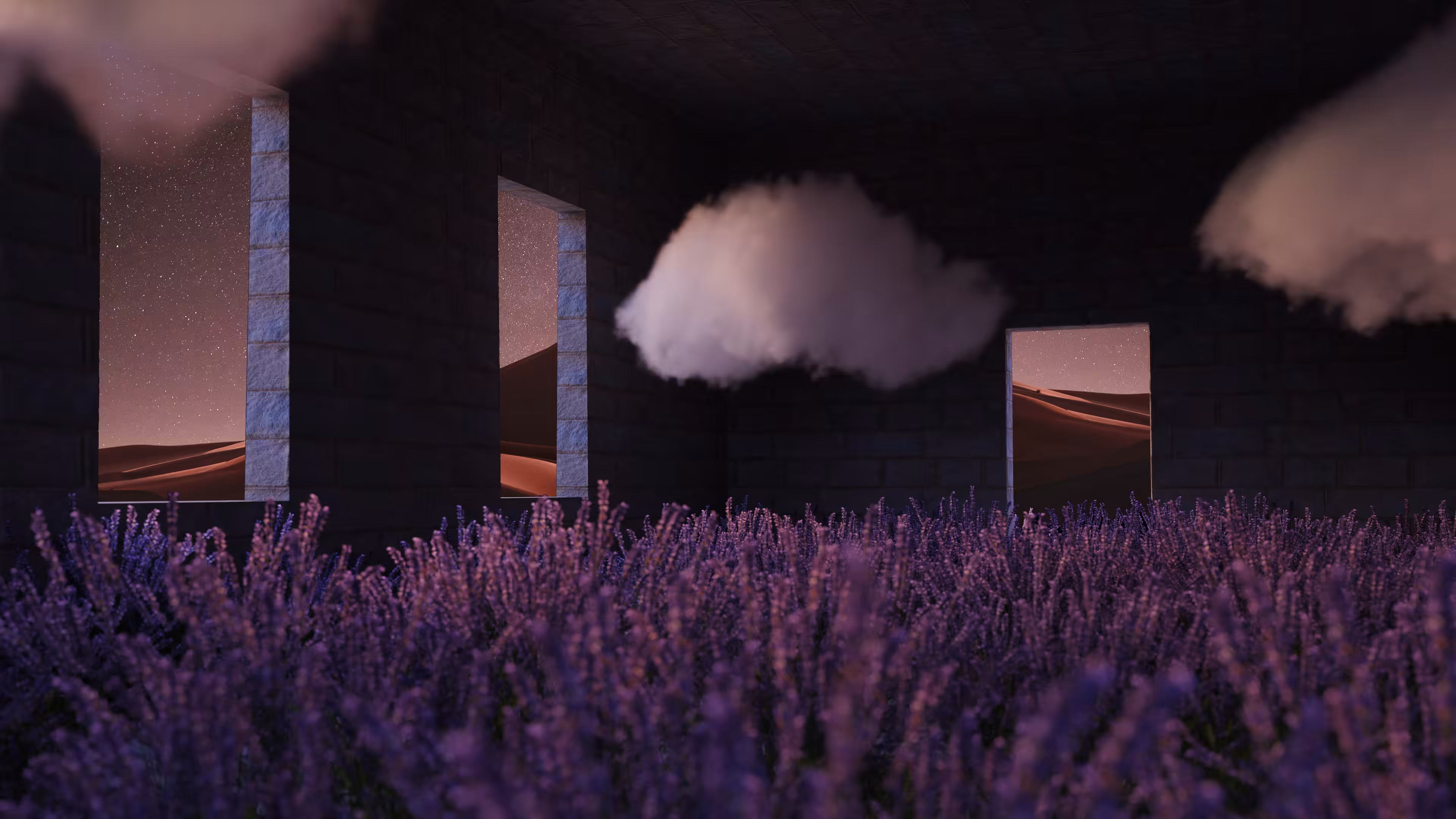 Dawn of Lavenders