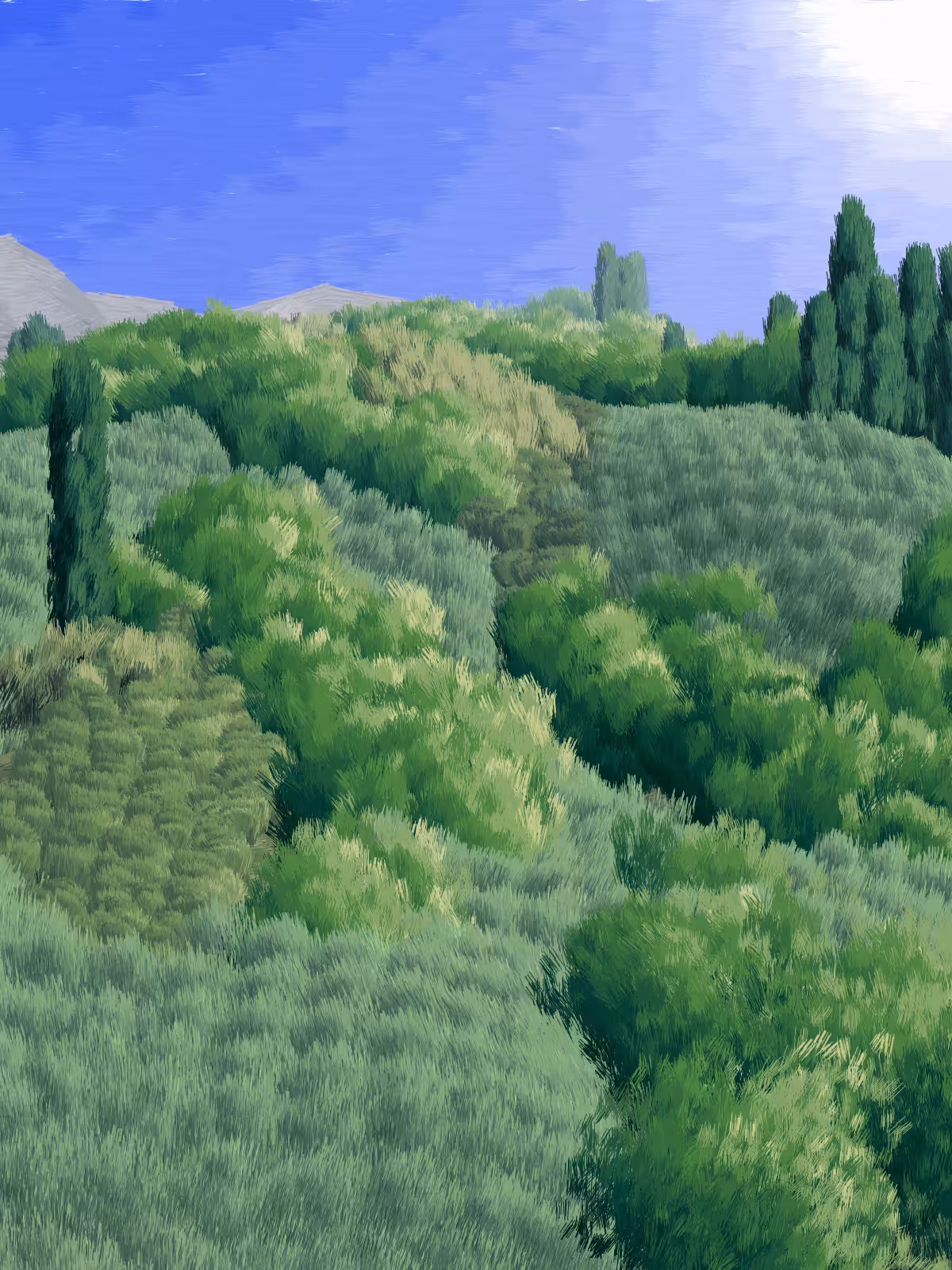Provence #373