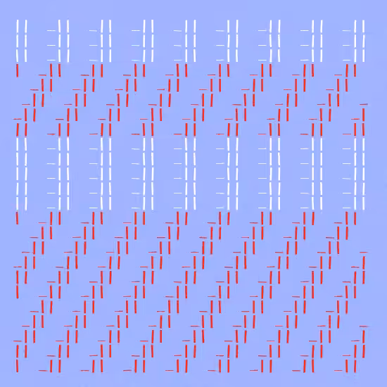 /--/--/ #244