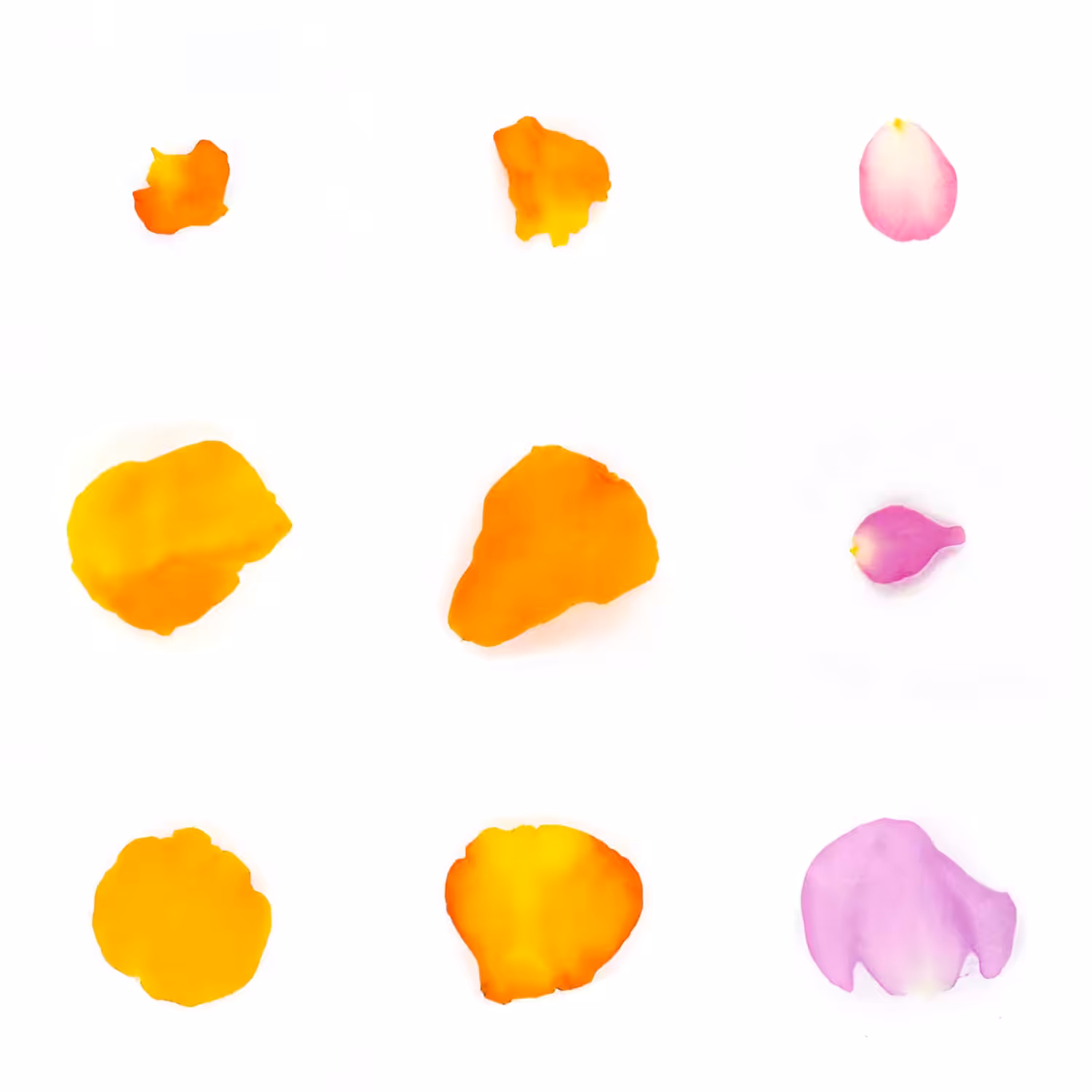 Infinite Petals 3x3#2671