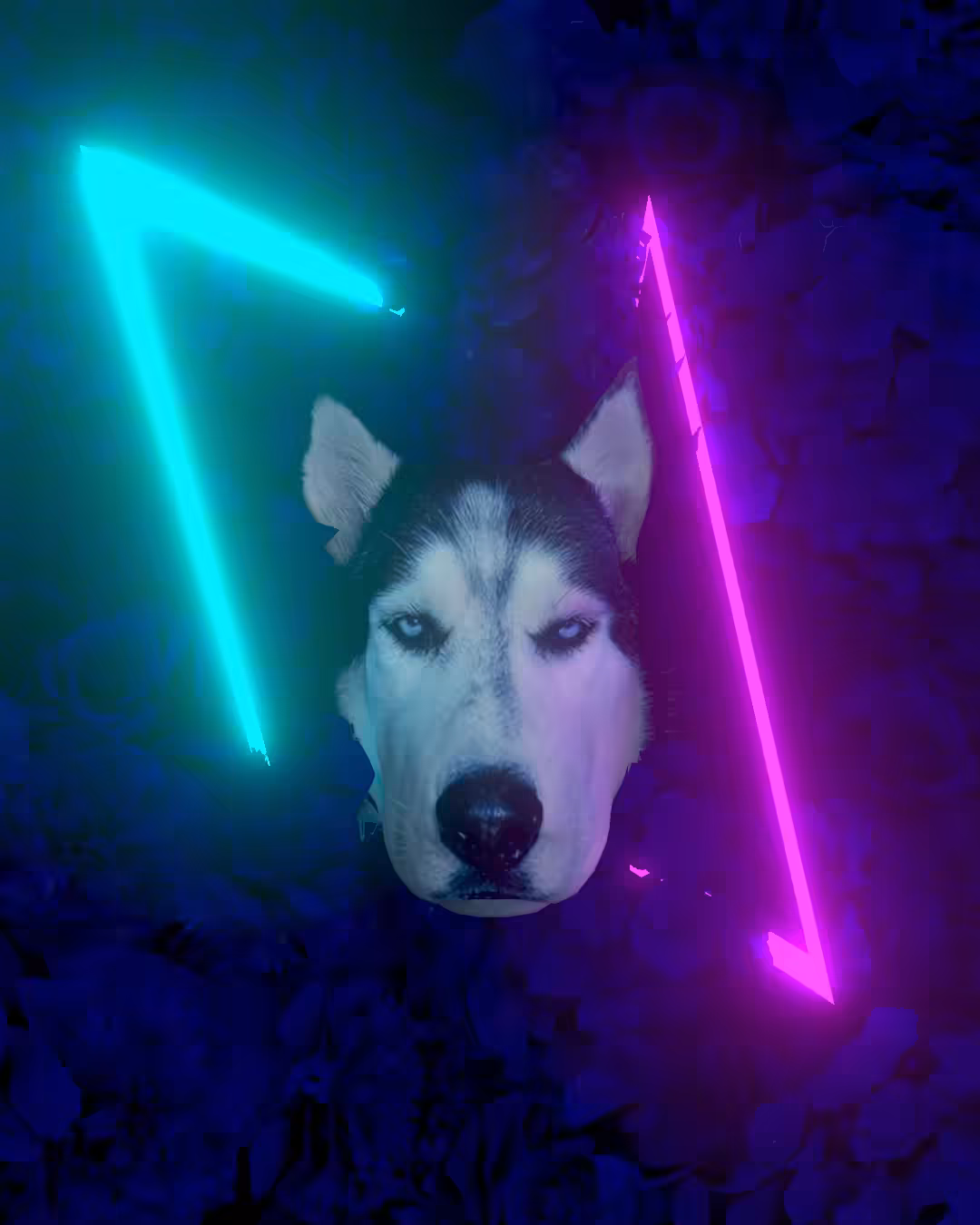 Steel The Husky