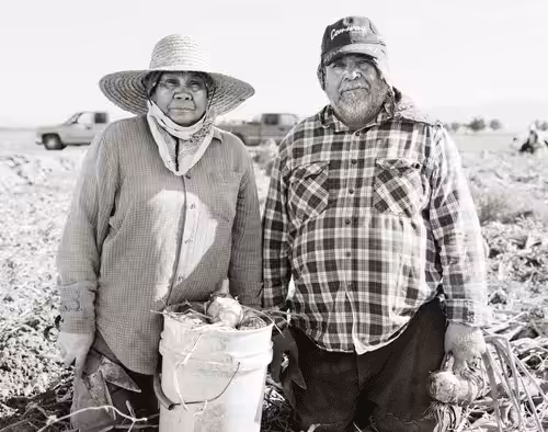 191_onions_deming_nm