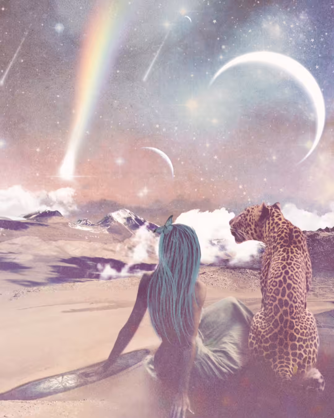 The Sky Watchers