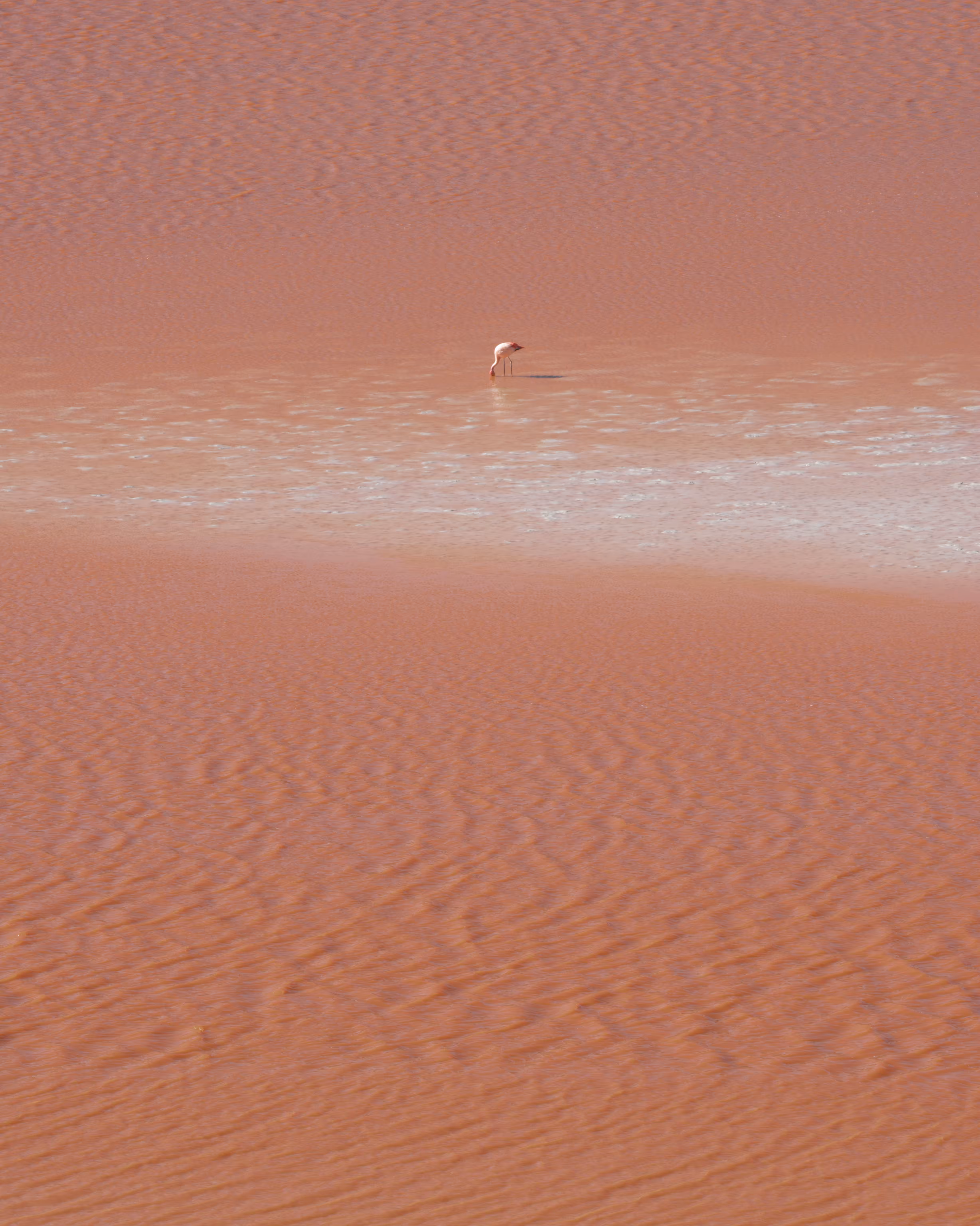 Uyuni III