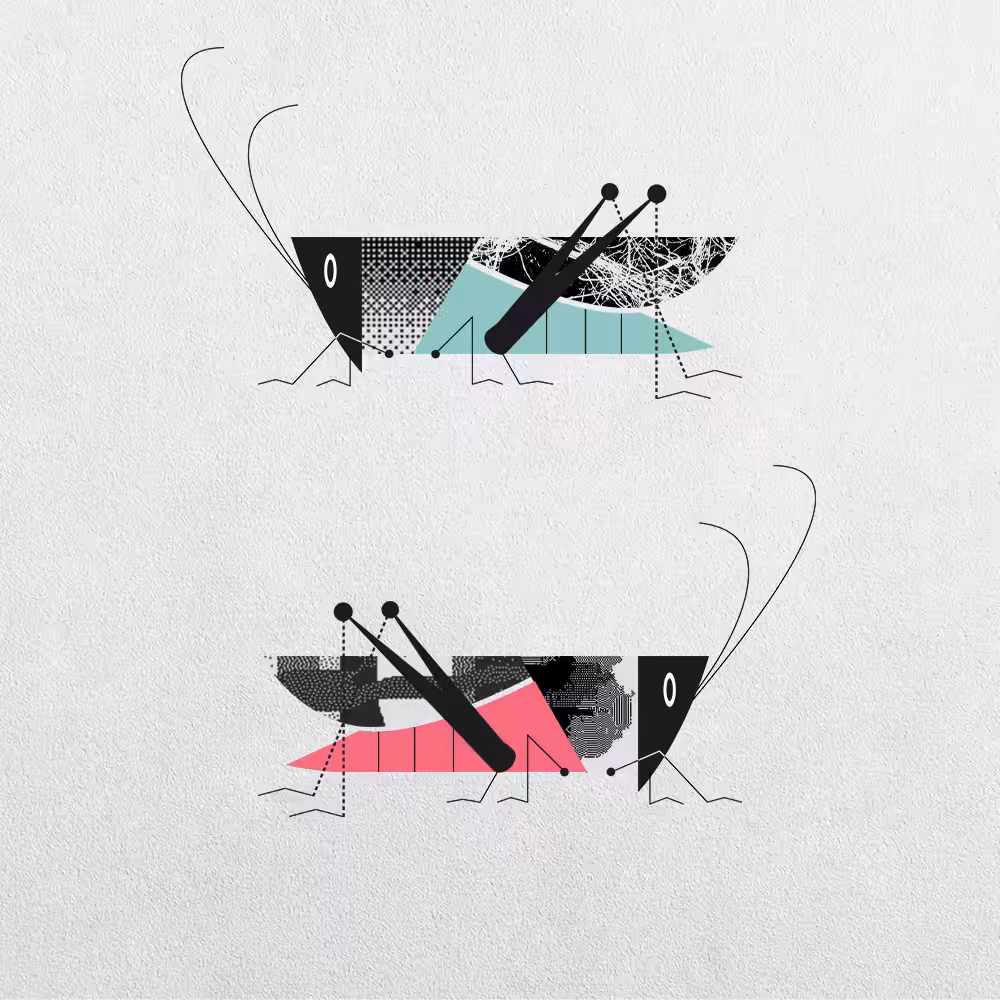 Grasshopper Abstraction #6