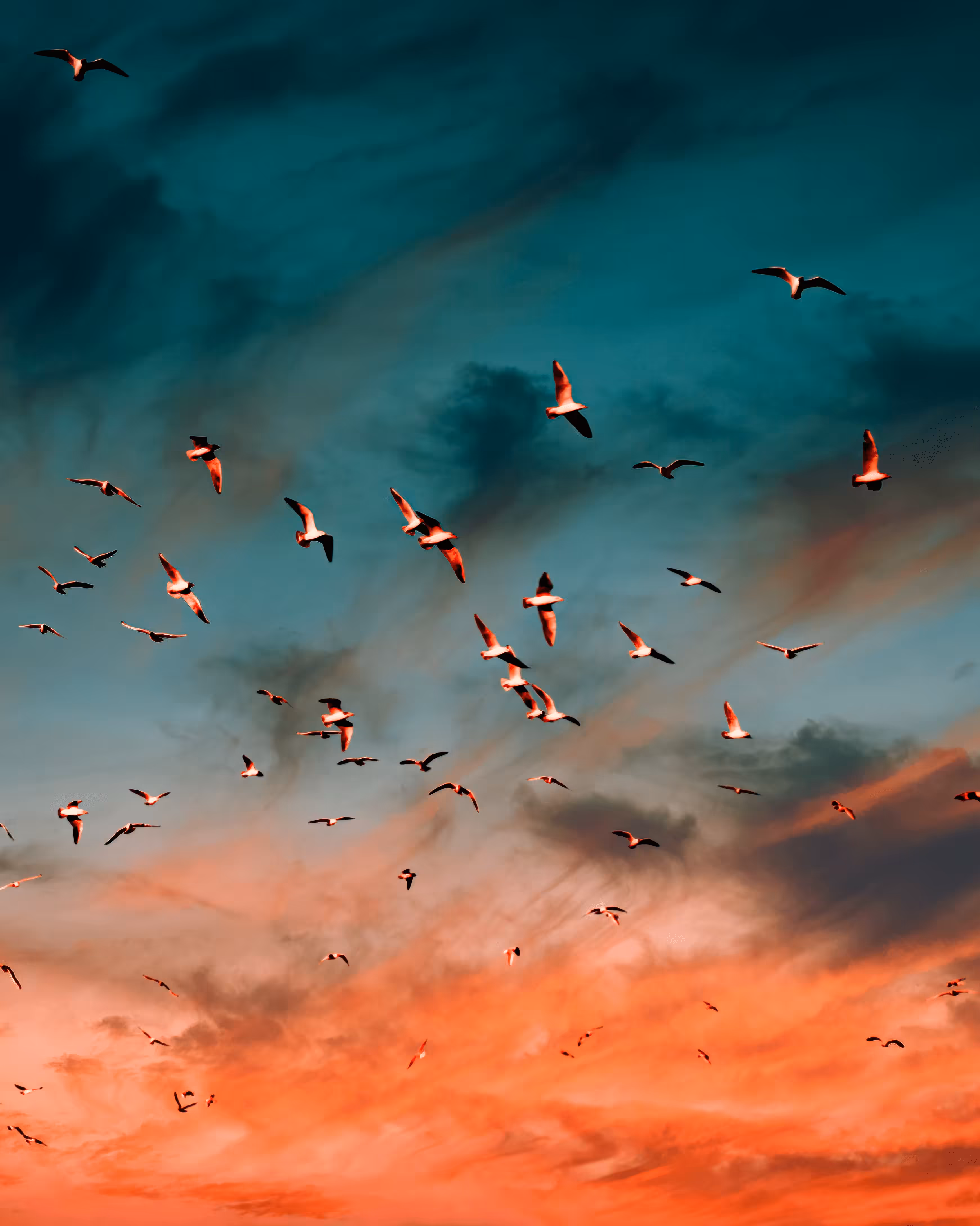 Flock of Us #16