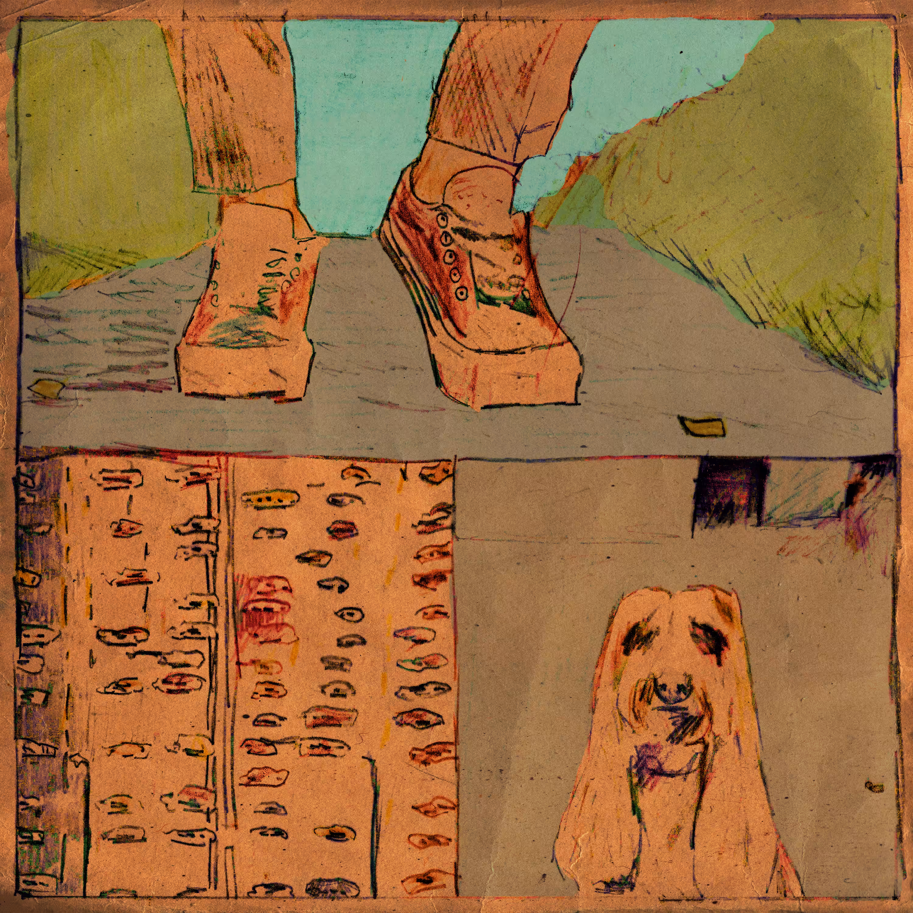 shoes, dogs and cars
