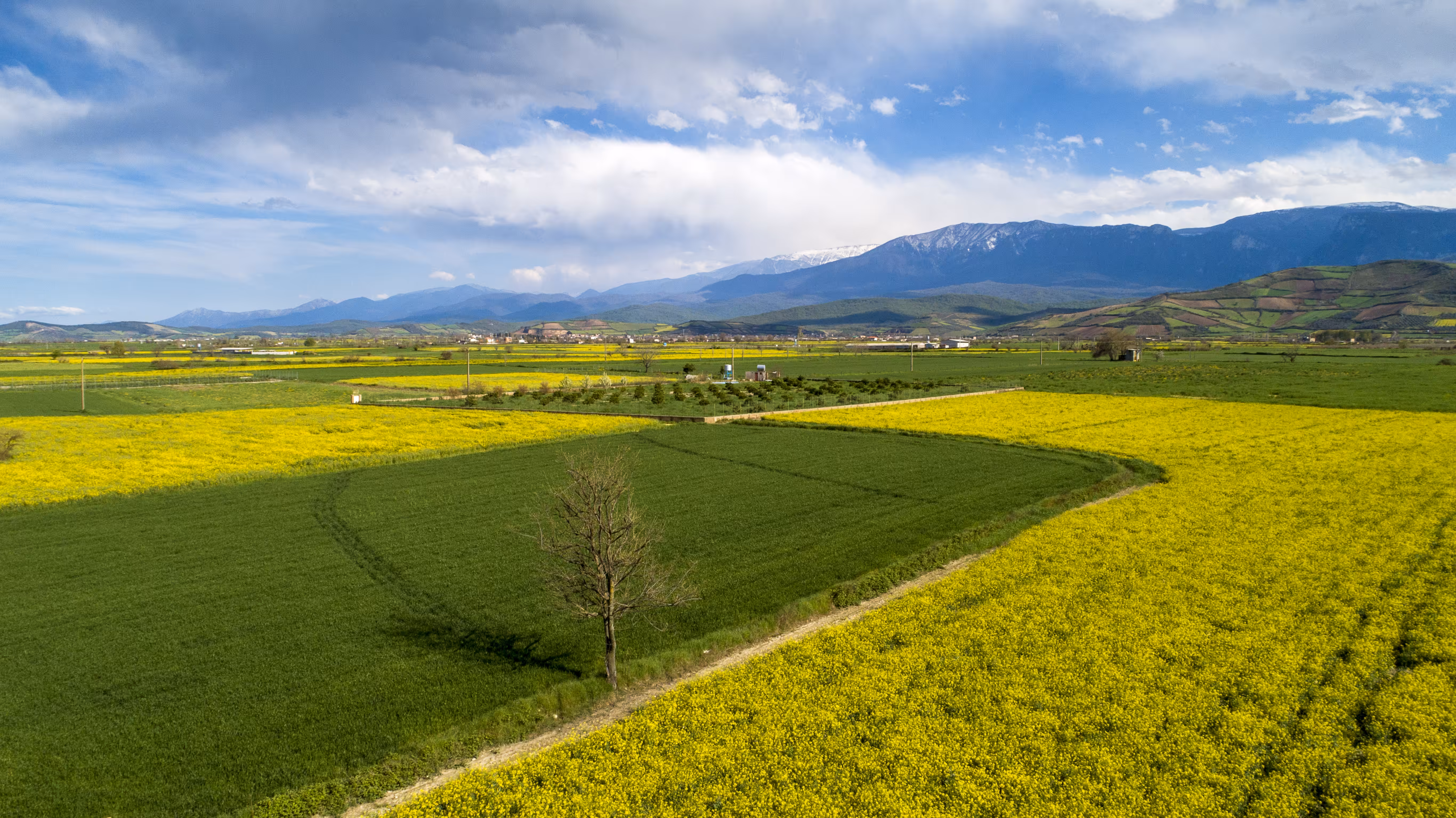 Spring
