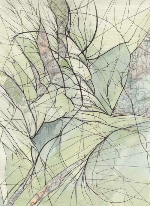 cultural biopsy: Hypergraph III