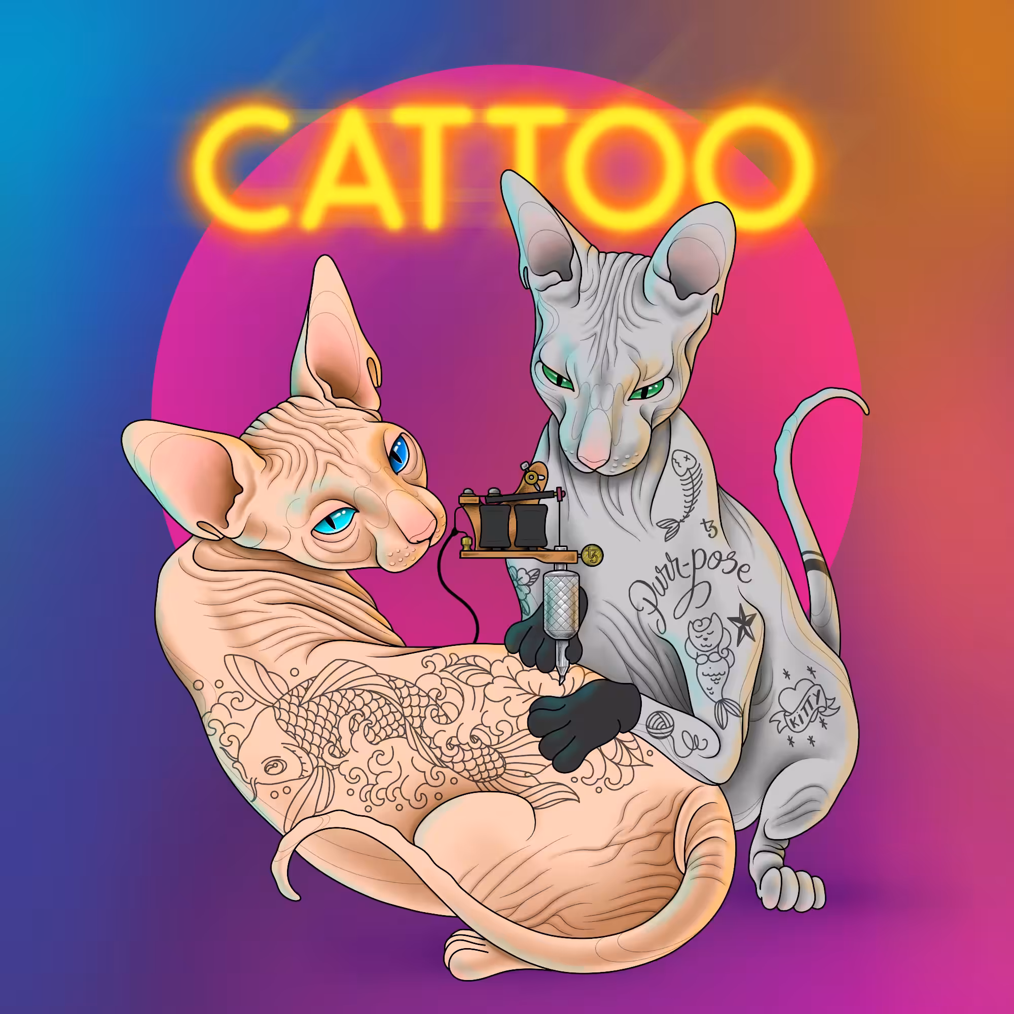 #5 Cattoo